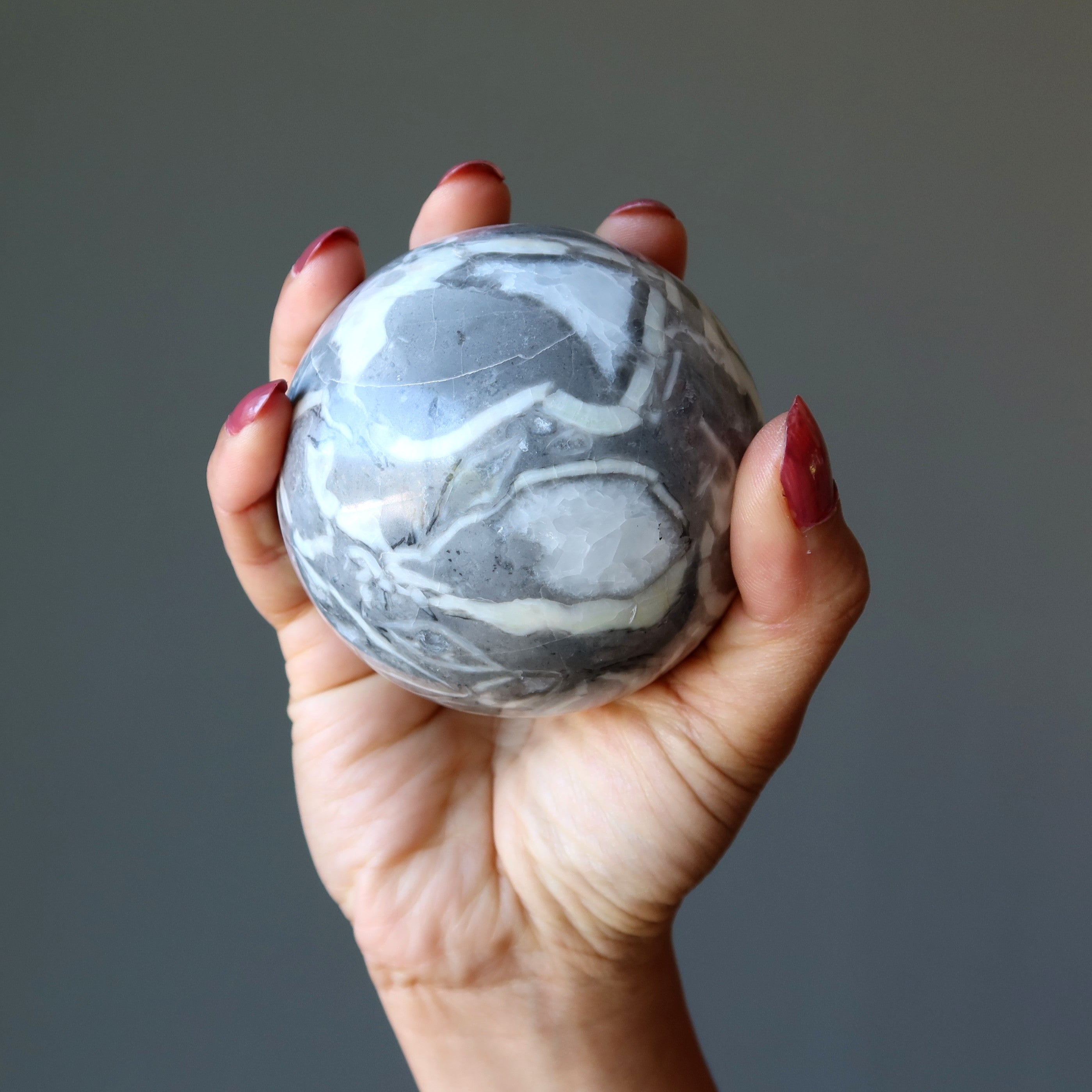 Brachiopod Fossil Sphere Ancient Gray Shell Limestone Crystal Ball