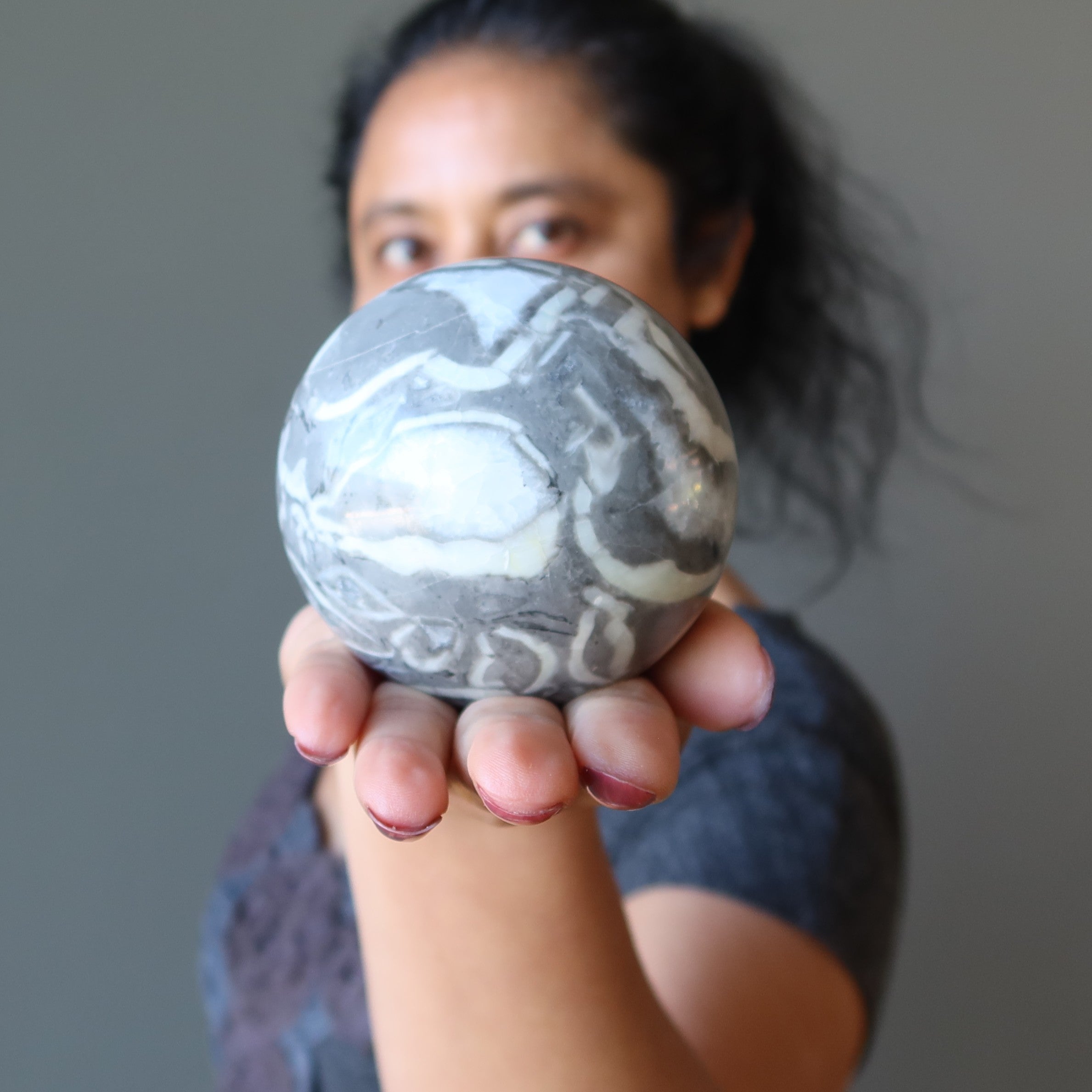 Brachiopod Fossil Sphere Ancient Gray Shell Limestone Crystal Ball