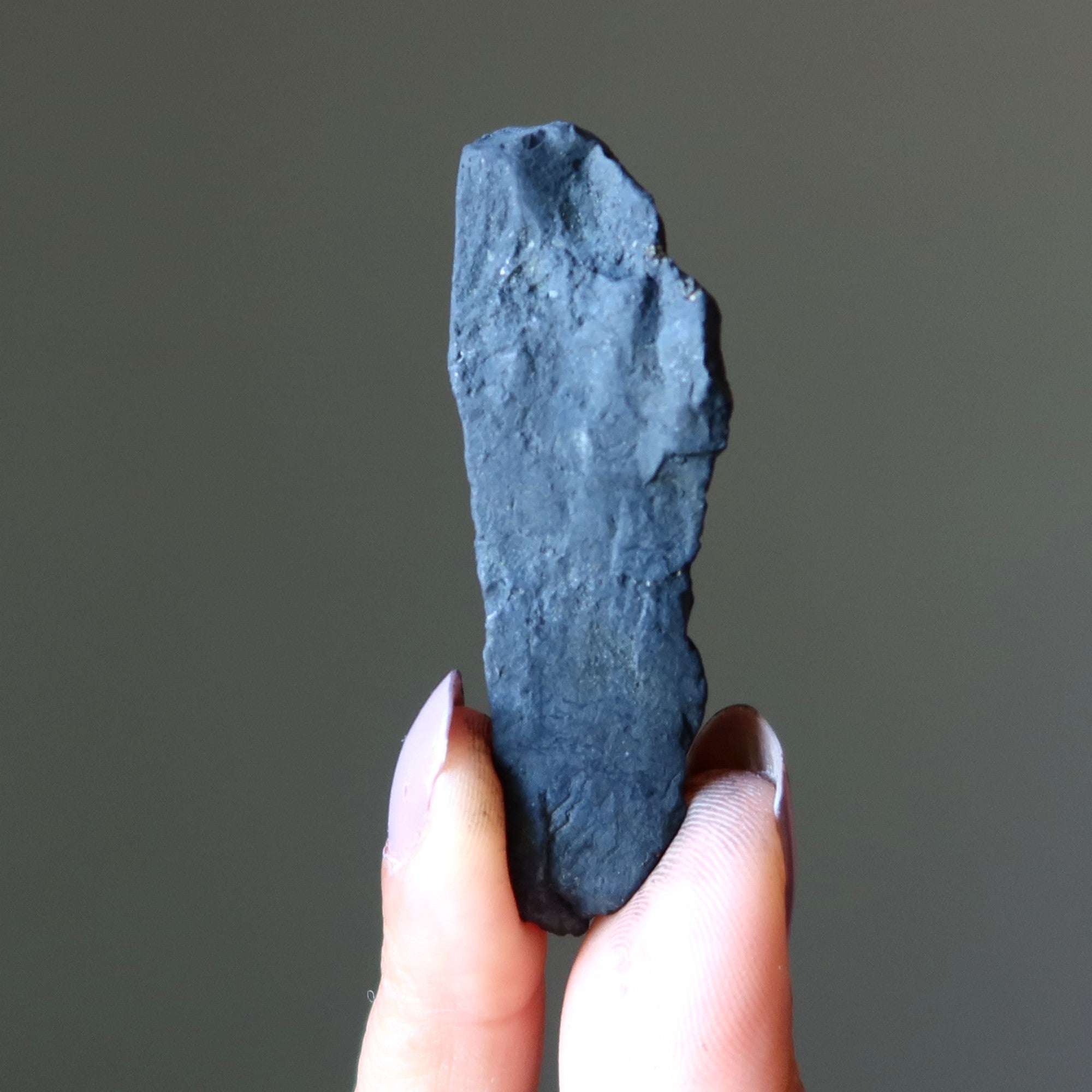 Shungite Raw Crystal Shake Your World Protection