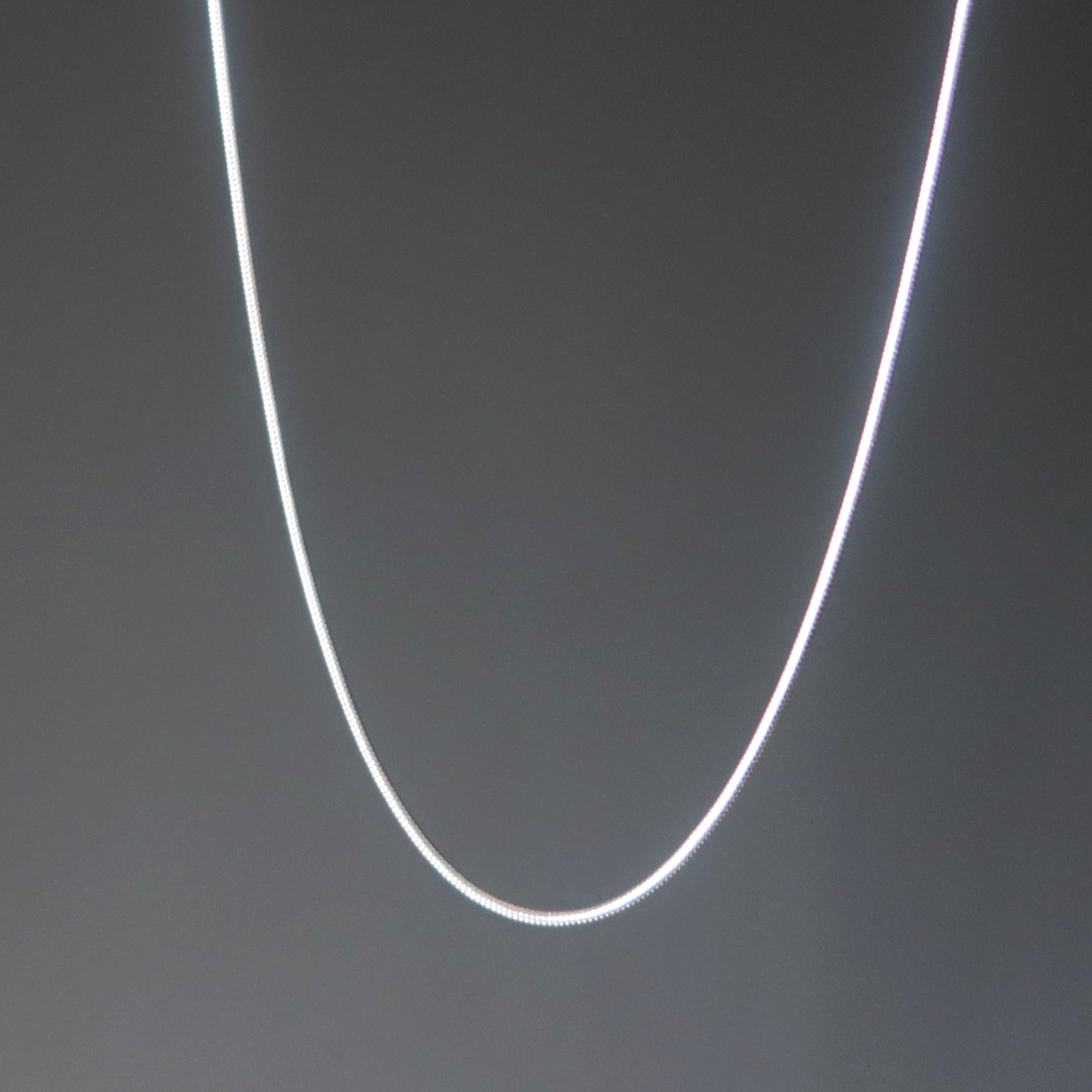 Silver Plated Chain Necklace Simply Splendid Snake