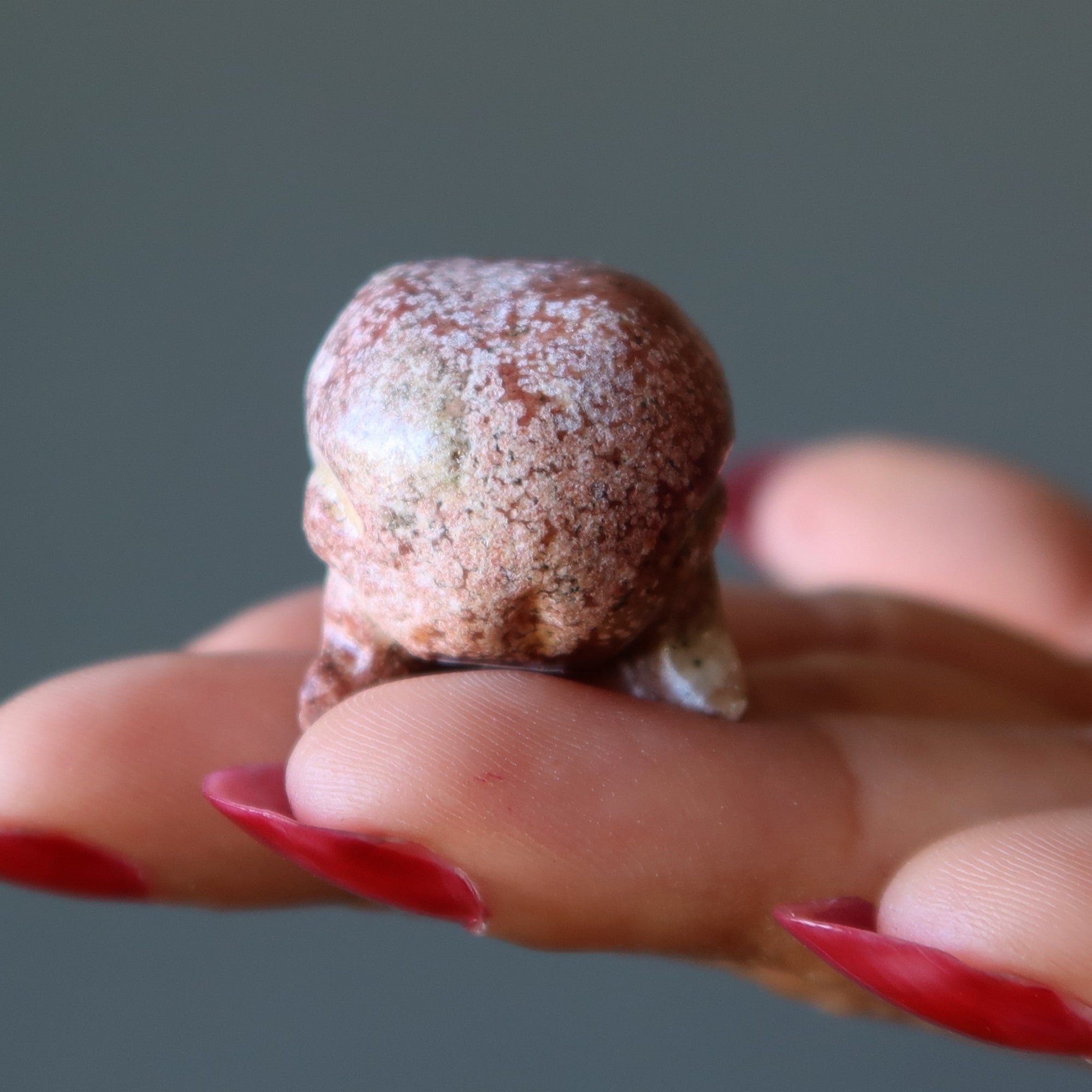 Soapstone Skull Time Traveler Channeling Crystal Red Bead