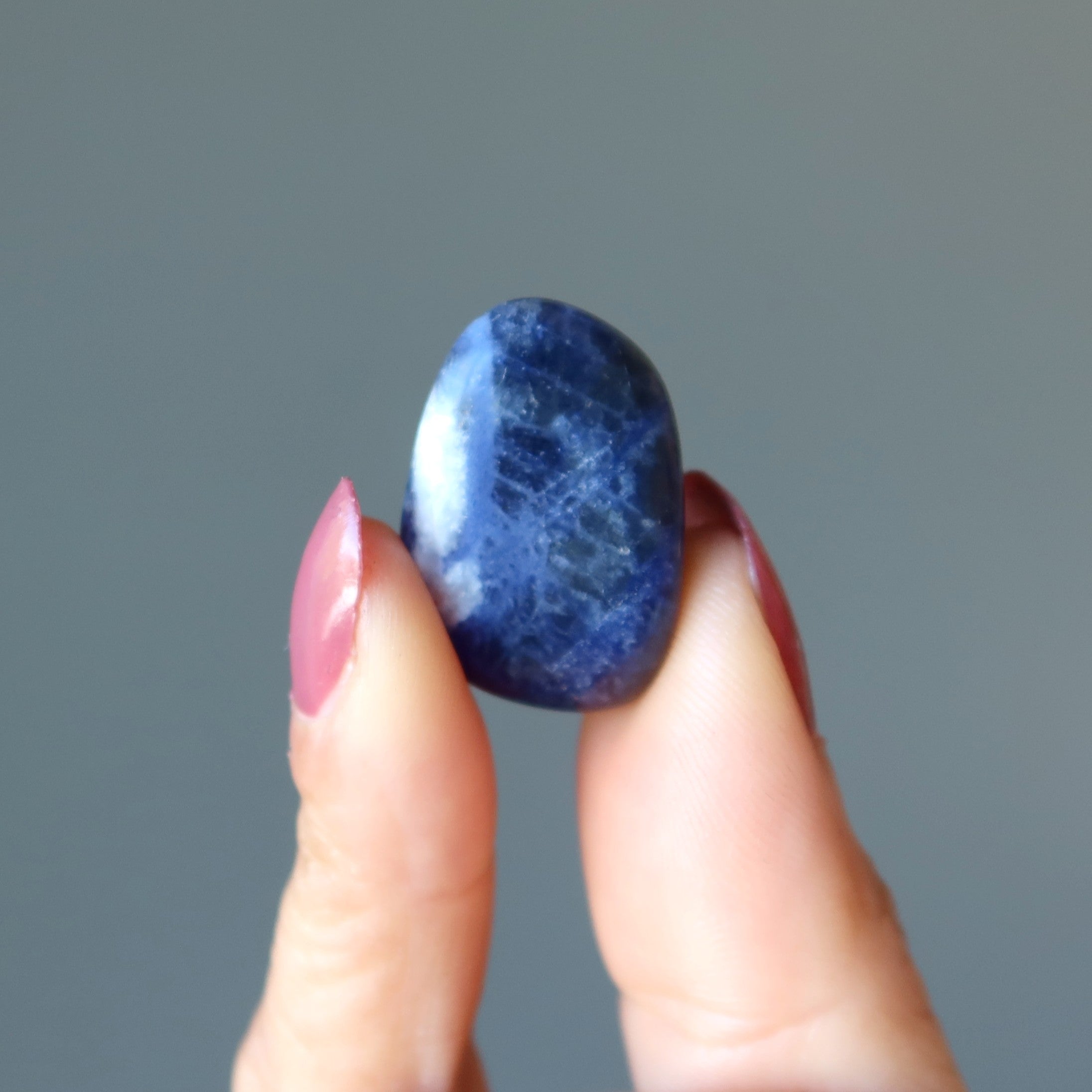 Sodalite Tumbled Stone Visionary Blue Crystal