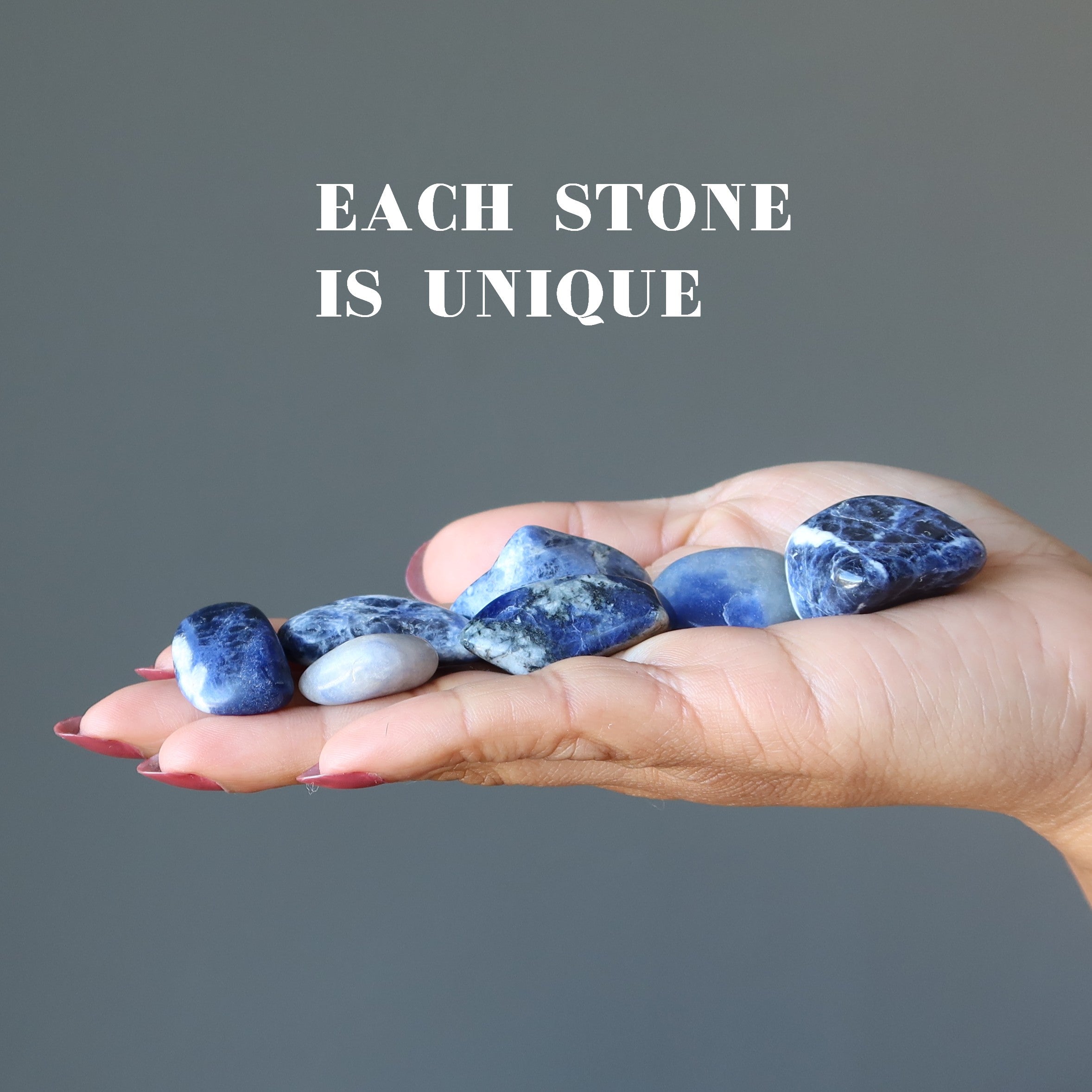 Sodalite Tumbled Stone Visionary Blue Crystal