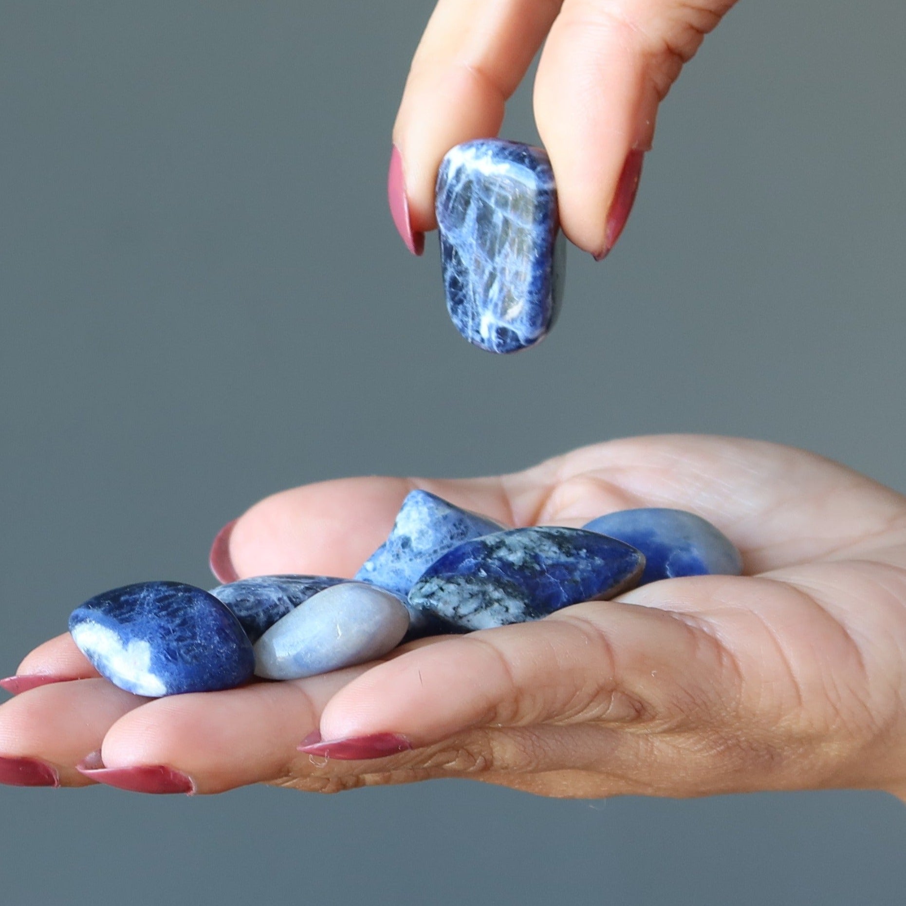 Sodalite Tumbled Stone Visionary Blue Crystal