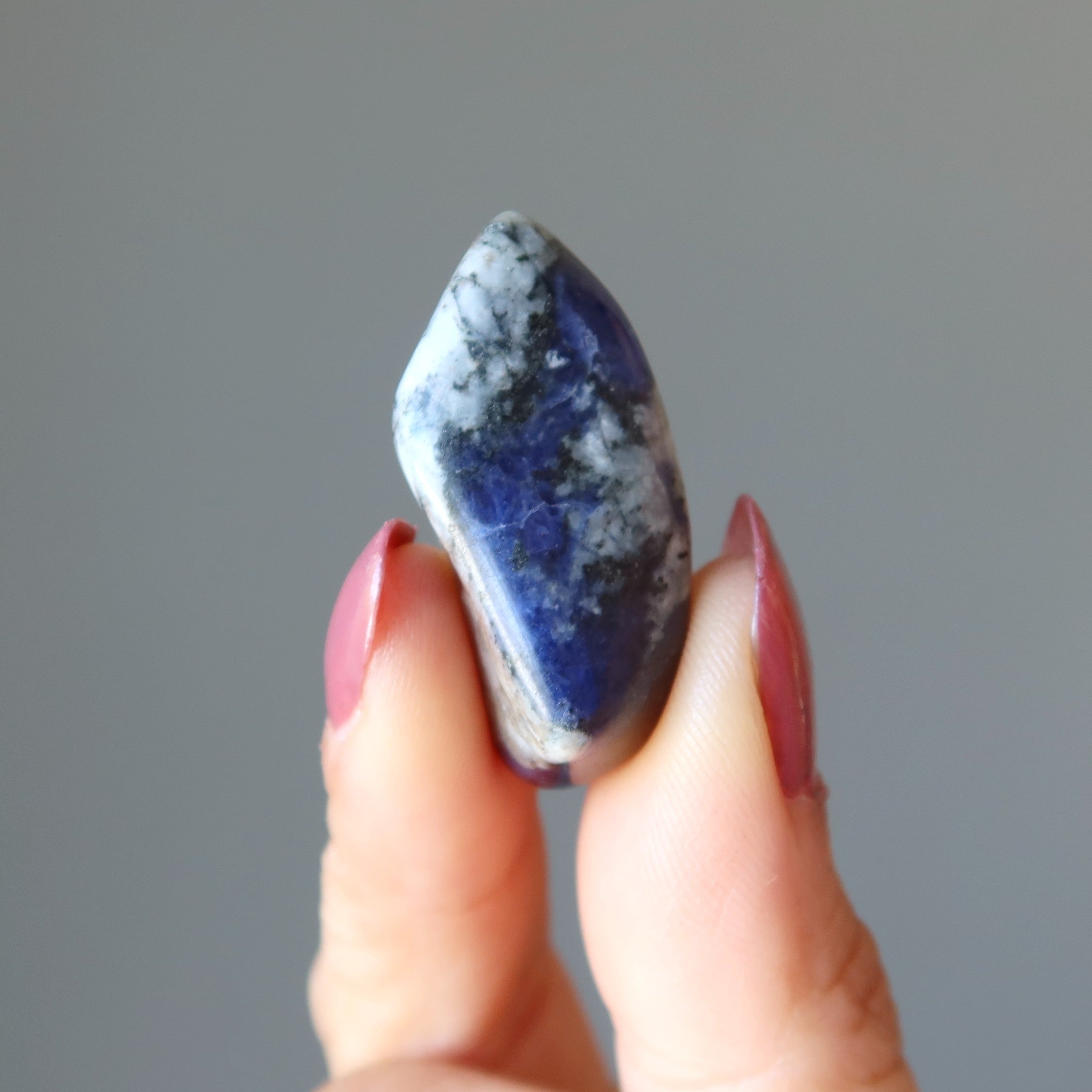 Sodalite Tumbled Stone Visionary Blue Crystal