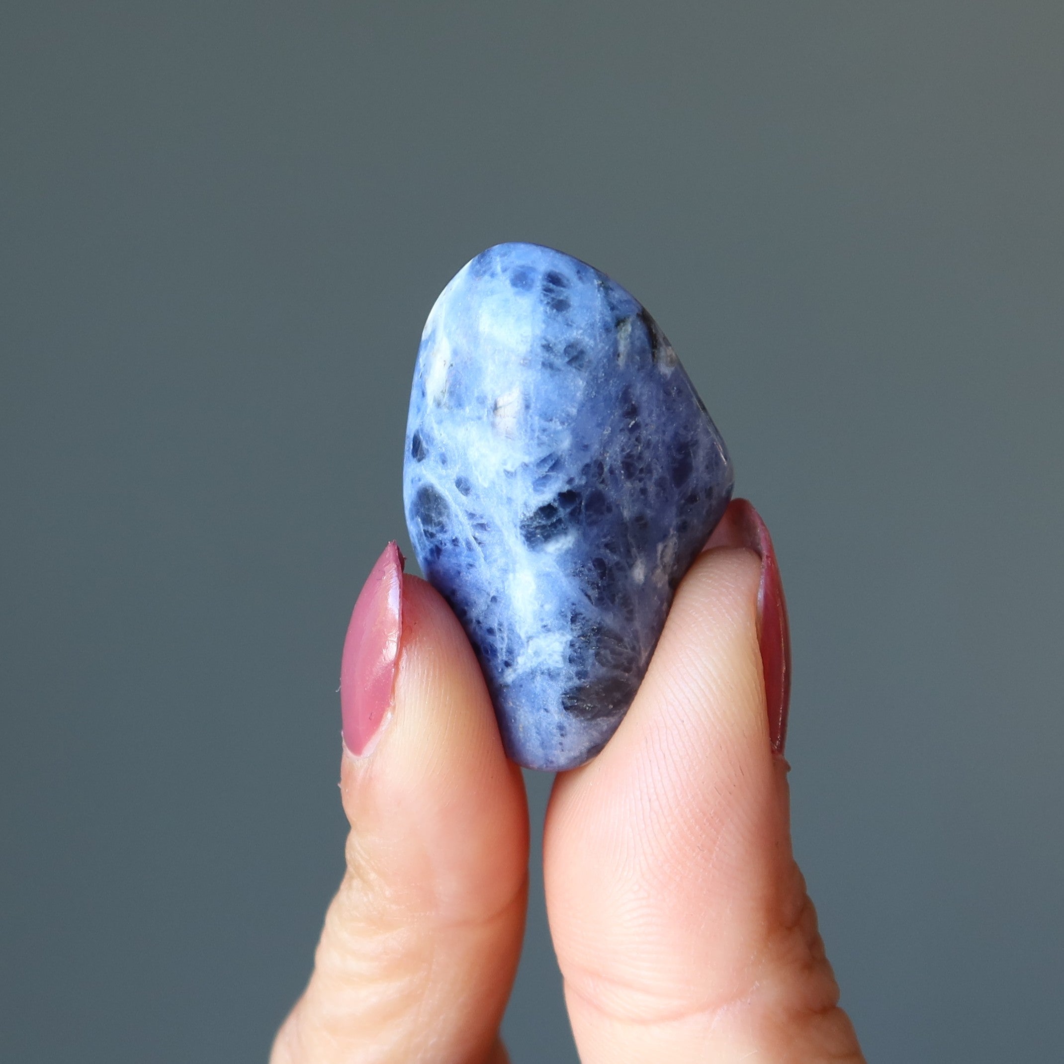 Sodalite Tumbled Stone Visionary Blue Crystal