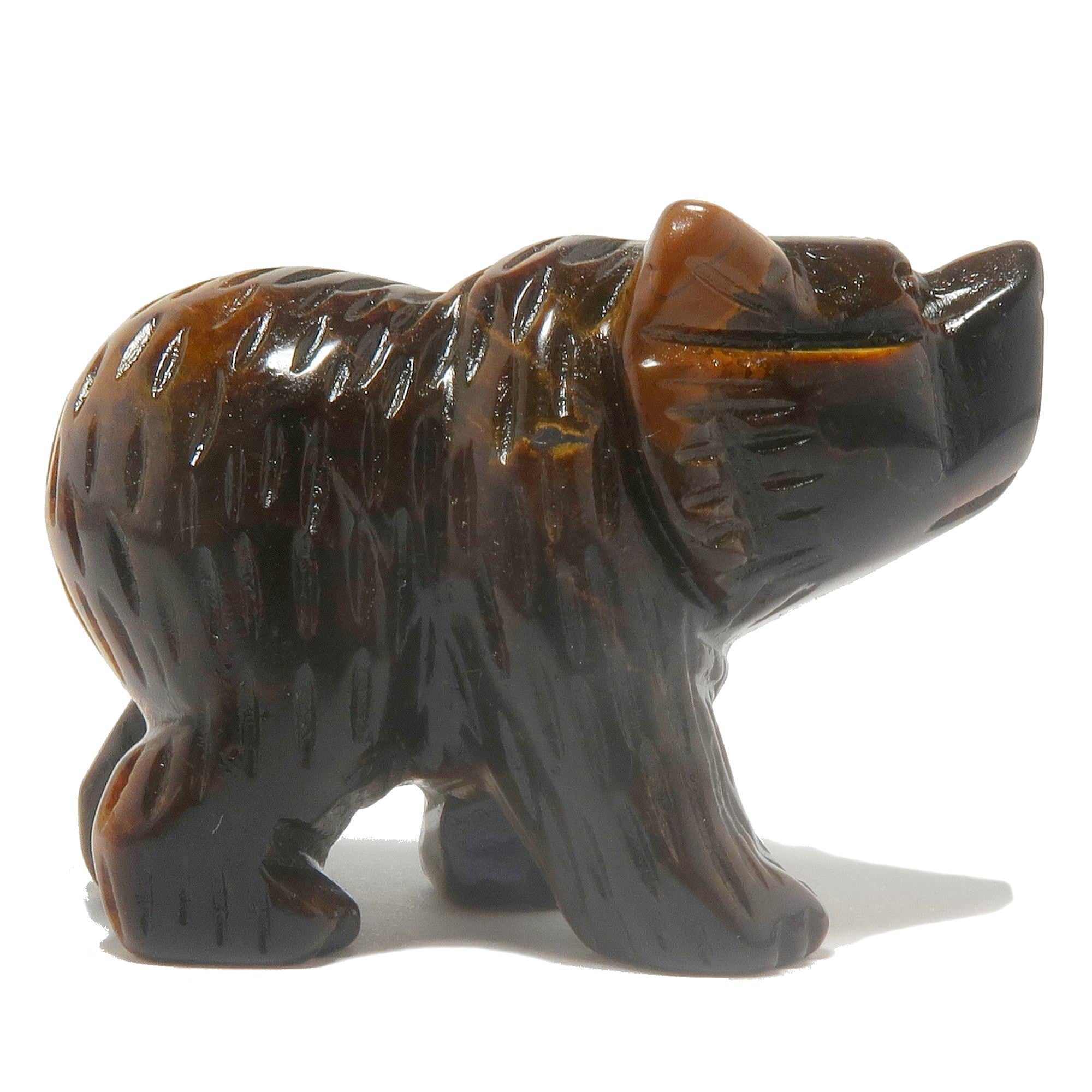 Tigers Eye Bear Fearless Friend Brown Grizzly