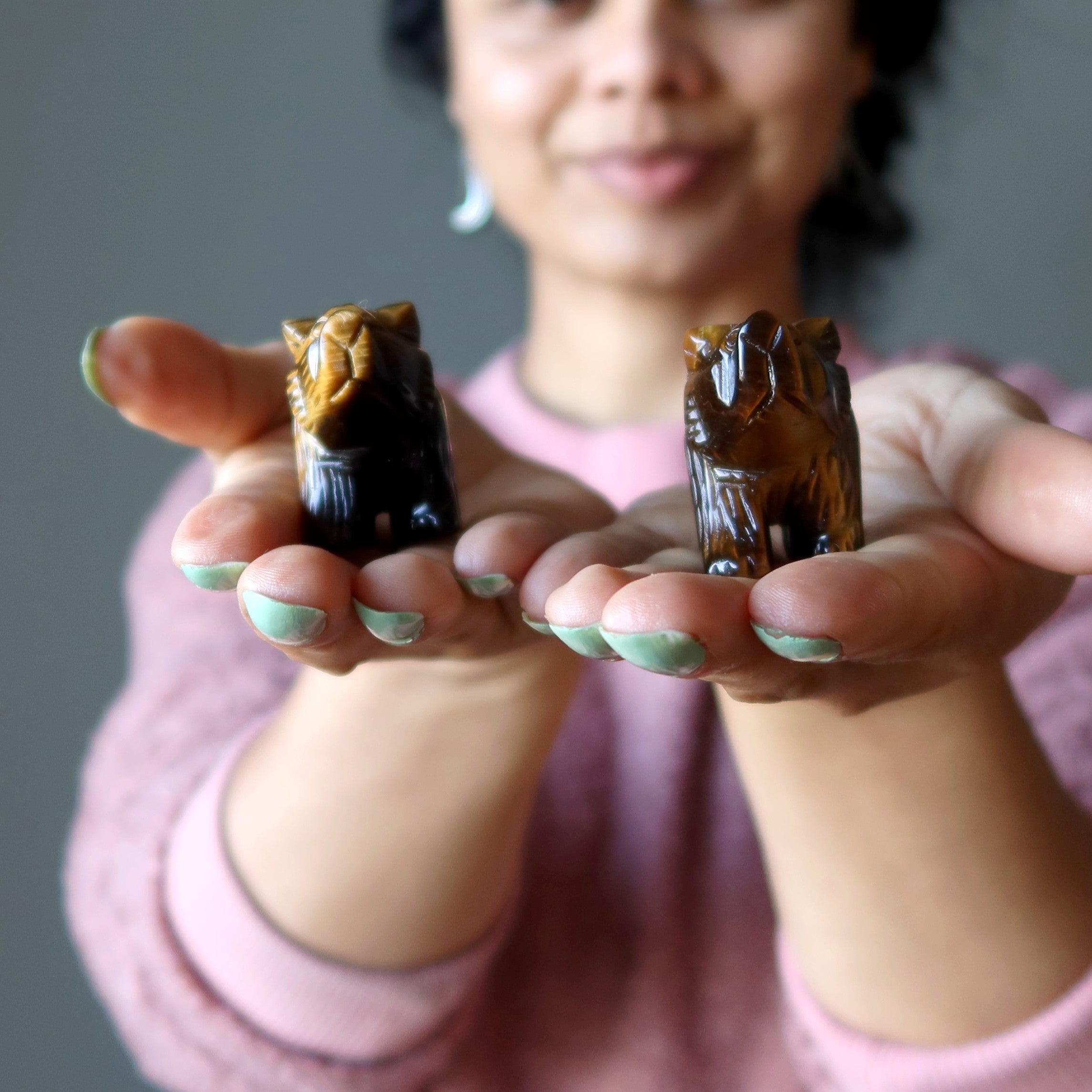 Tigers Eye Bear Fearless Friend Brown Grizzly