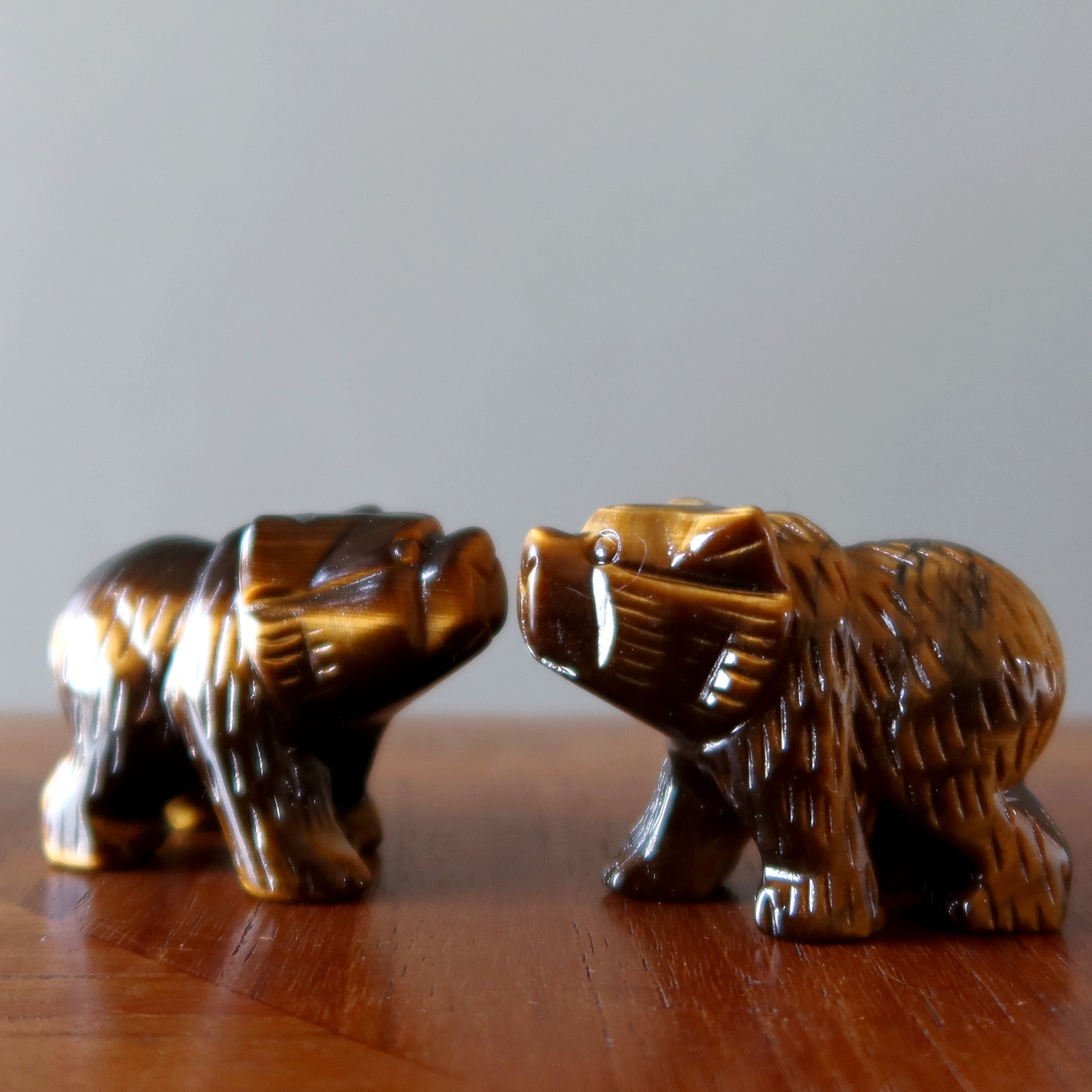 Tigers Eye Bear Fearless Friend Brown Grizzly