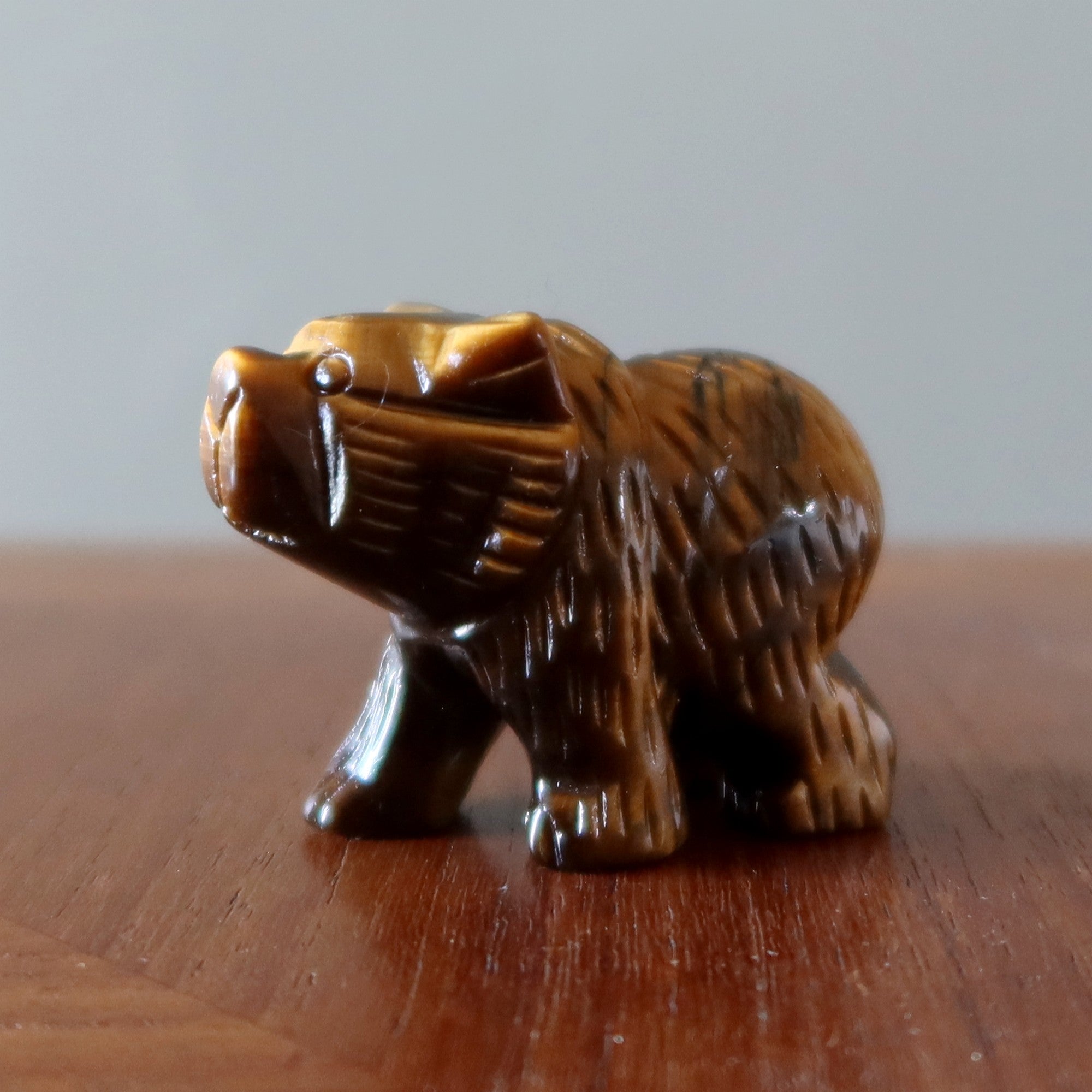 Tigers Eye Bear Fearless Friend Brown Grizzly