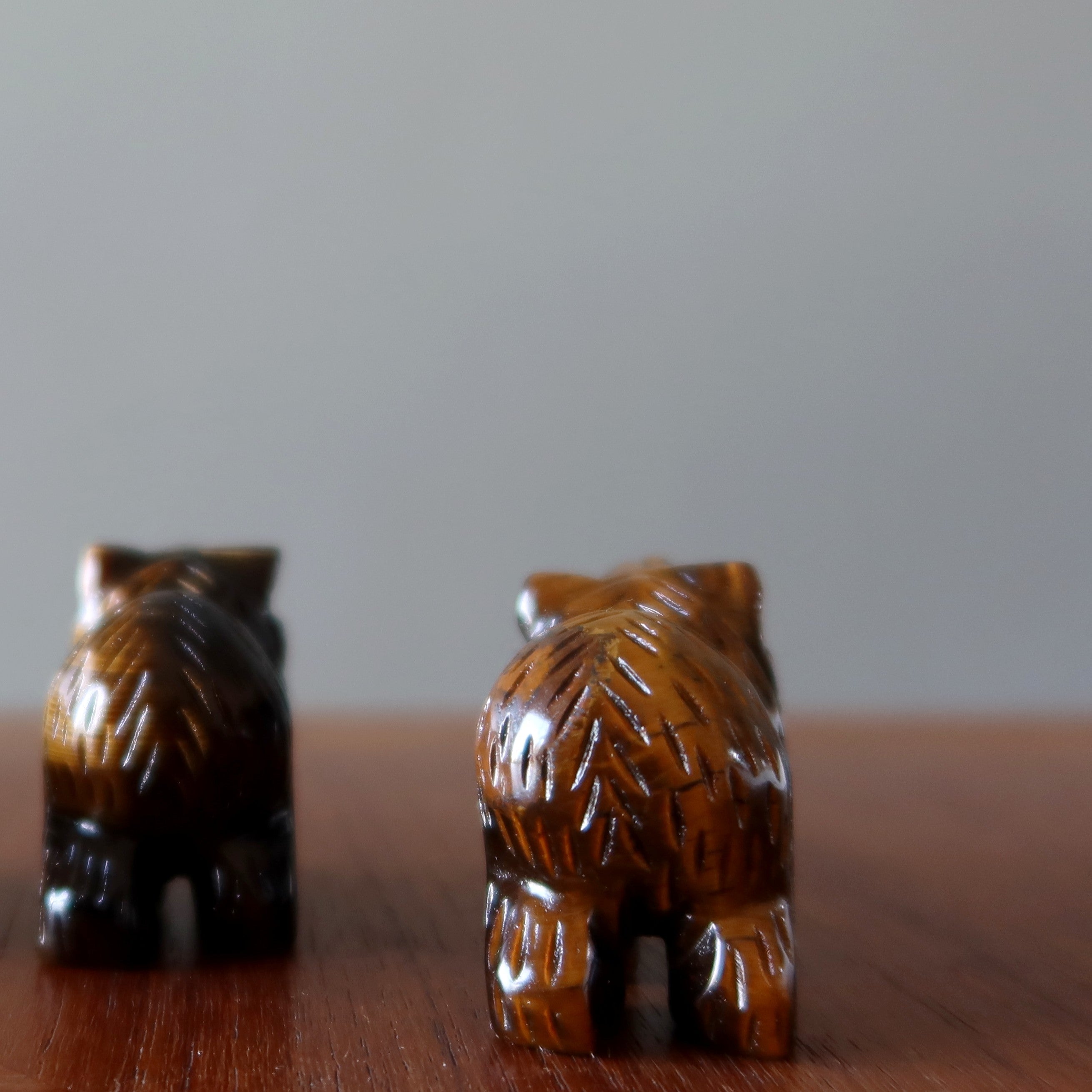 Tigers Eye Bear Fearless Friend Brown Grizzly