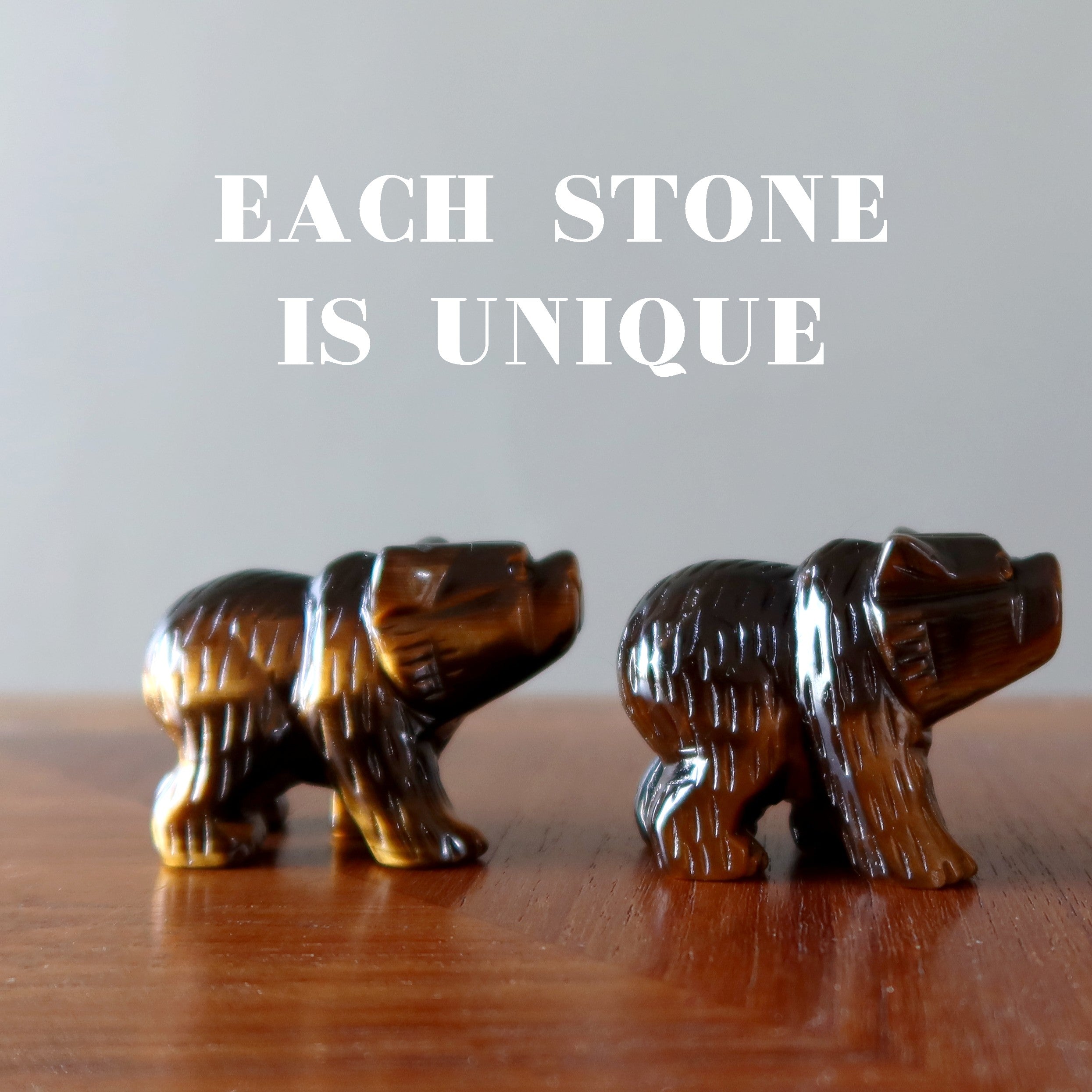 Tigers Eye Bear Fearless Friend Brown Grizzly