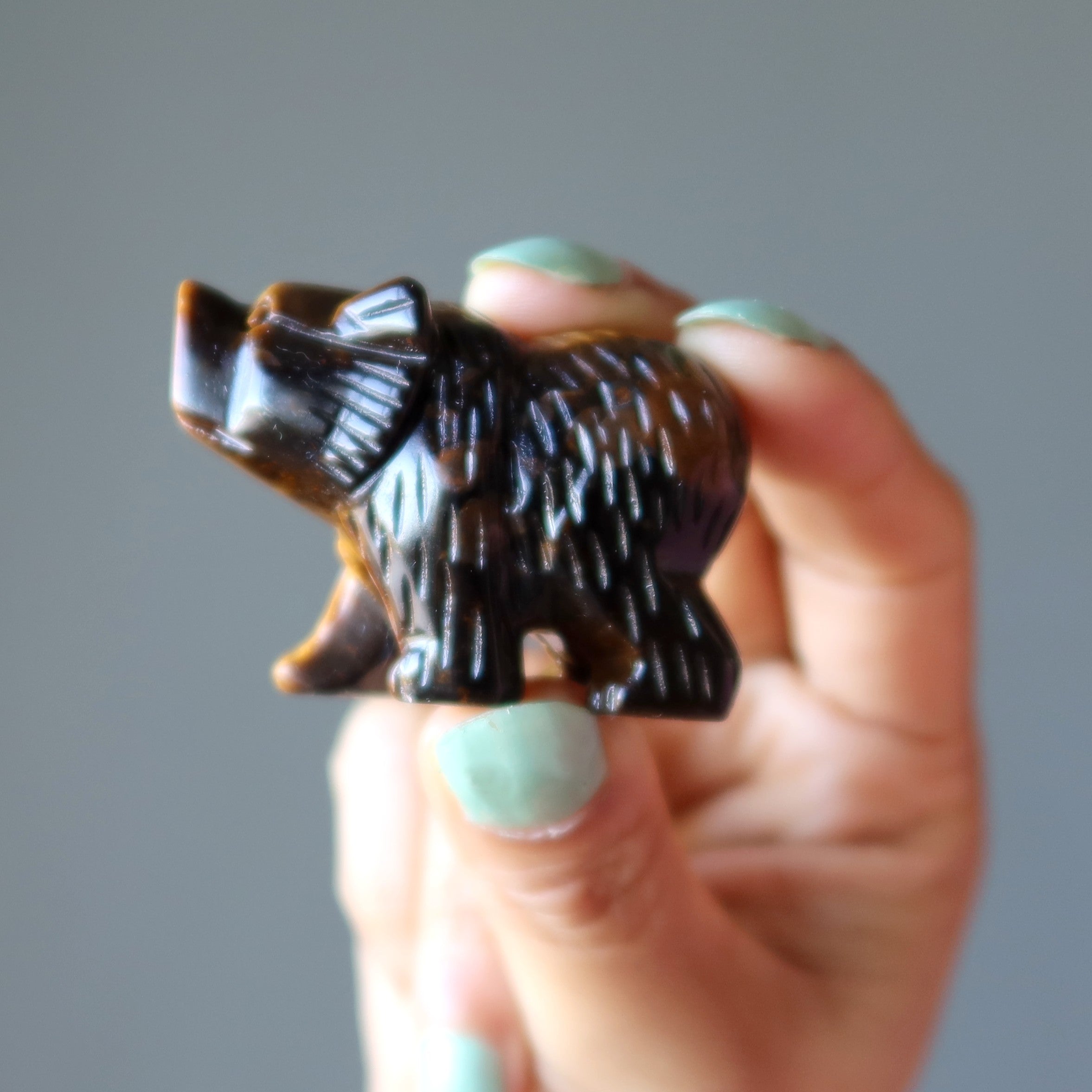 Tigers Eye Bear Fearless Friend Brown Grizzly