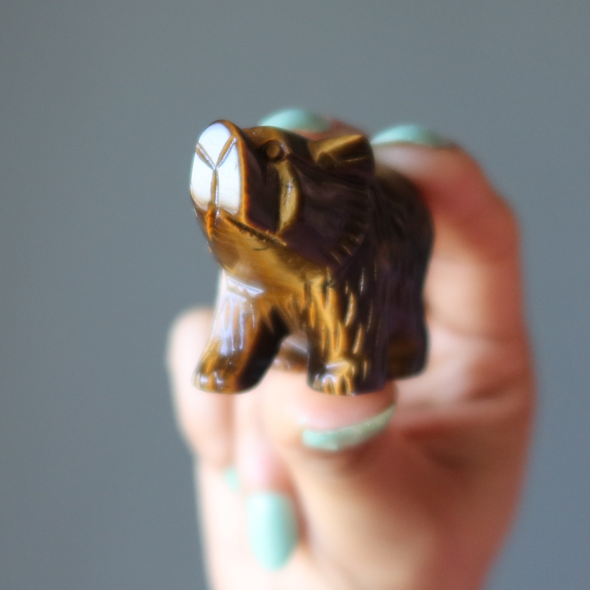 Tigers Eye Bear Fearless Friend Brown Grizzly