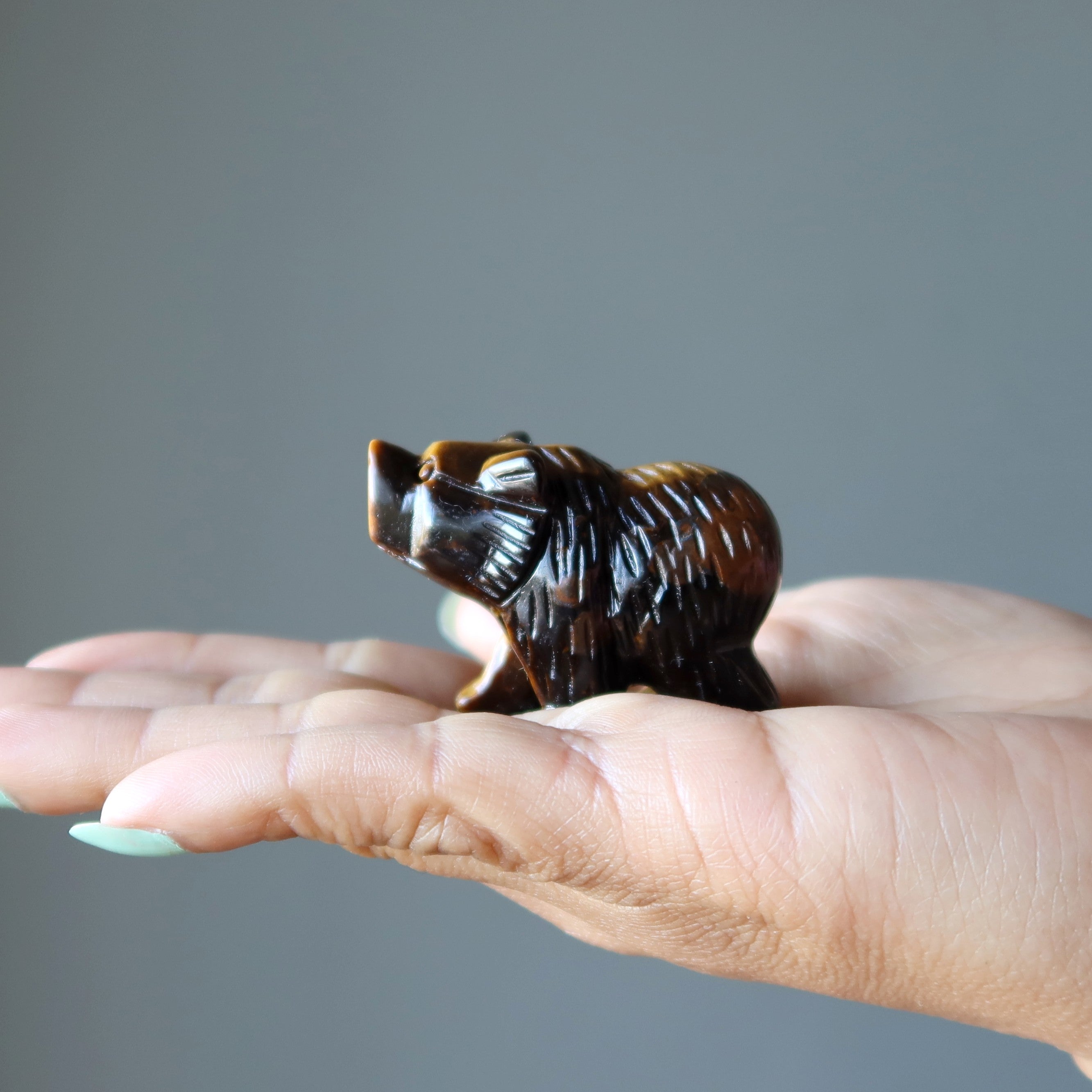 Tigers Eye Bear Fearless Friend Brown Grizzly