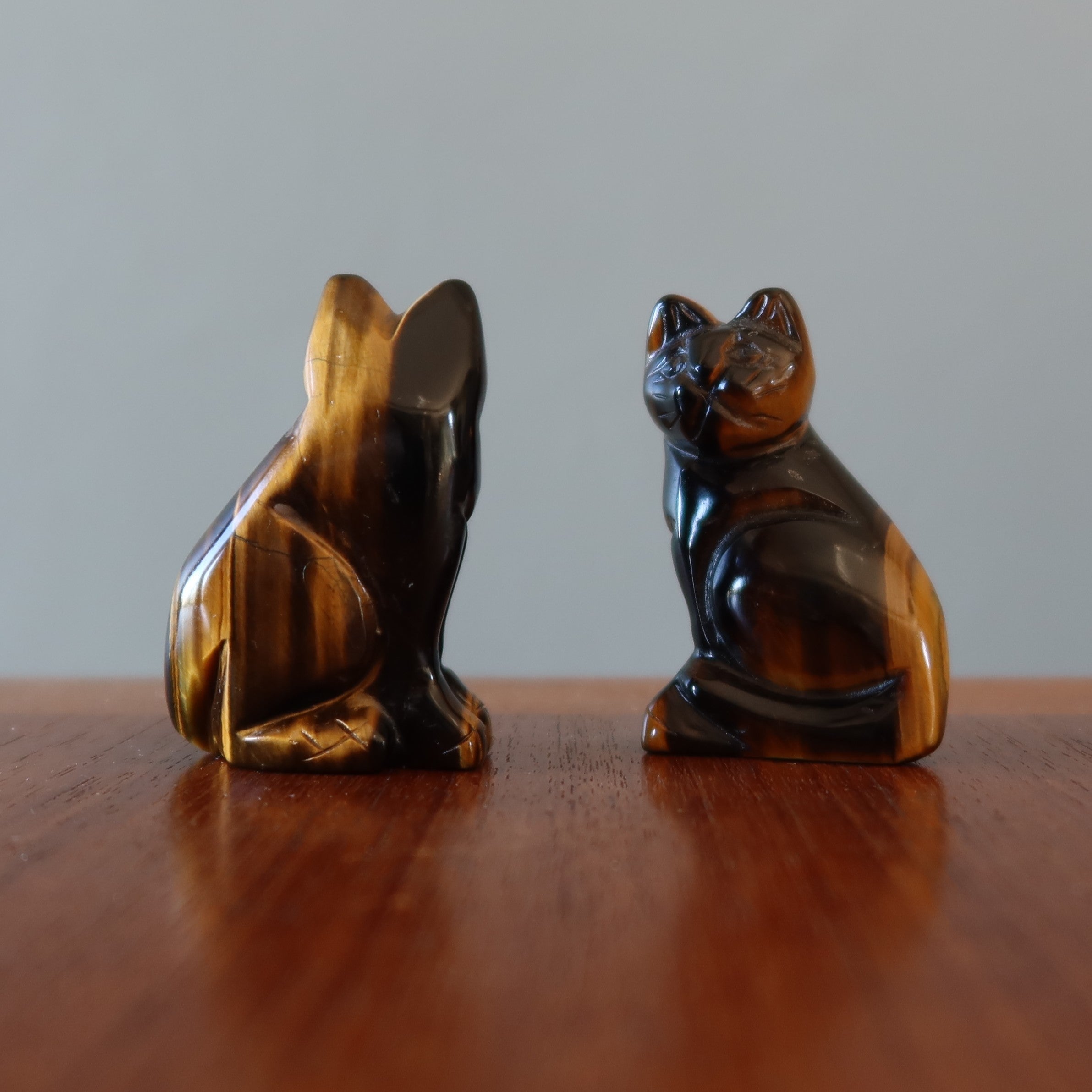 Tigers Eye Cat Supreme Spiritual Guardian Animal