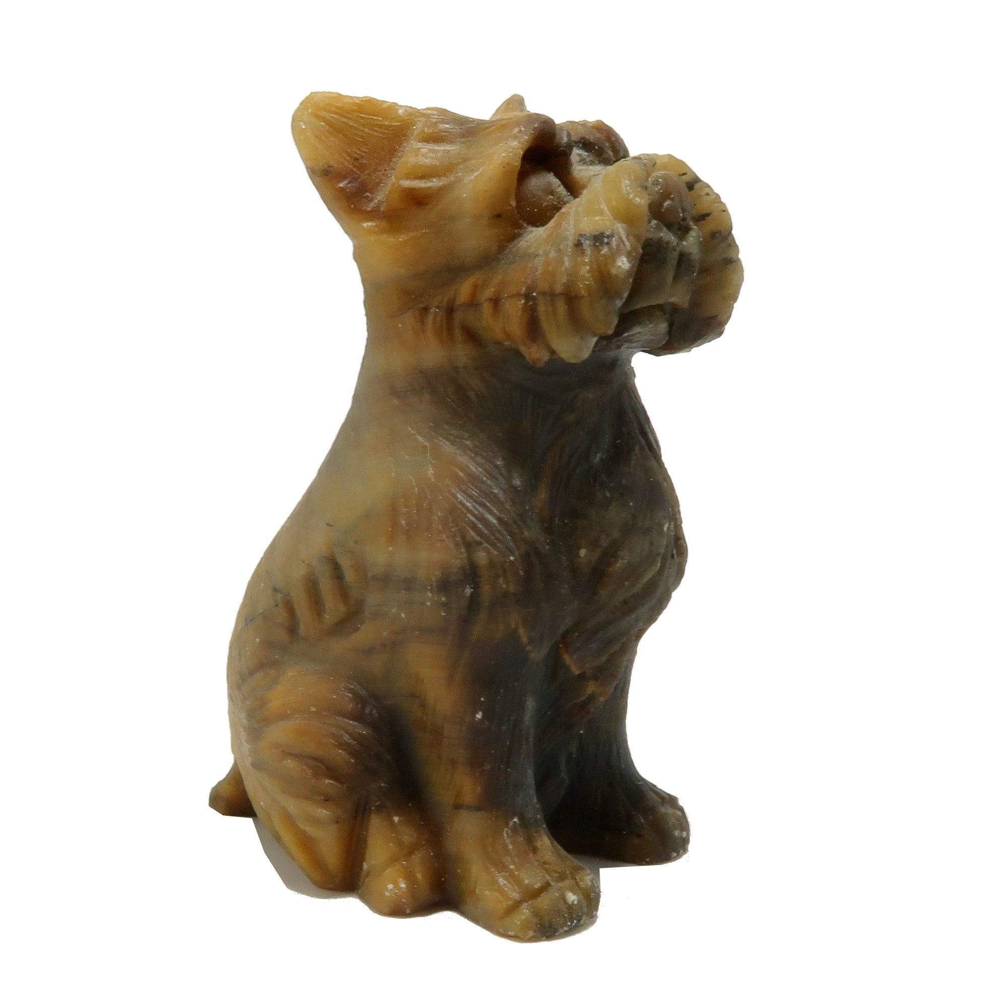 Tigers Eye Dog Scottish Terrier Timeless Golden Guardian
