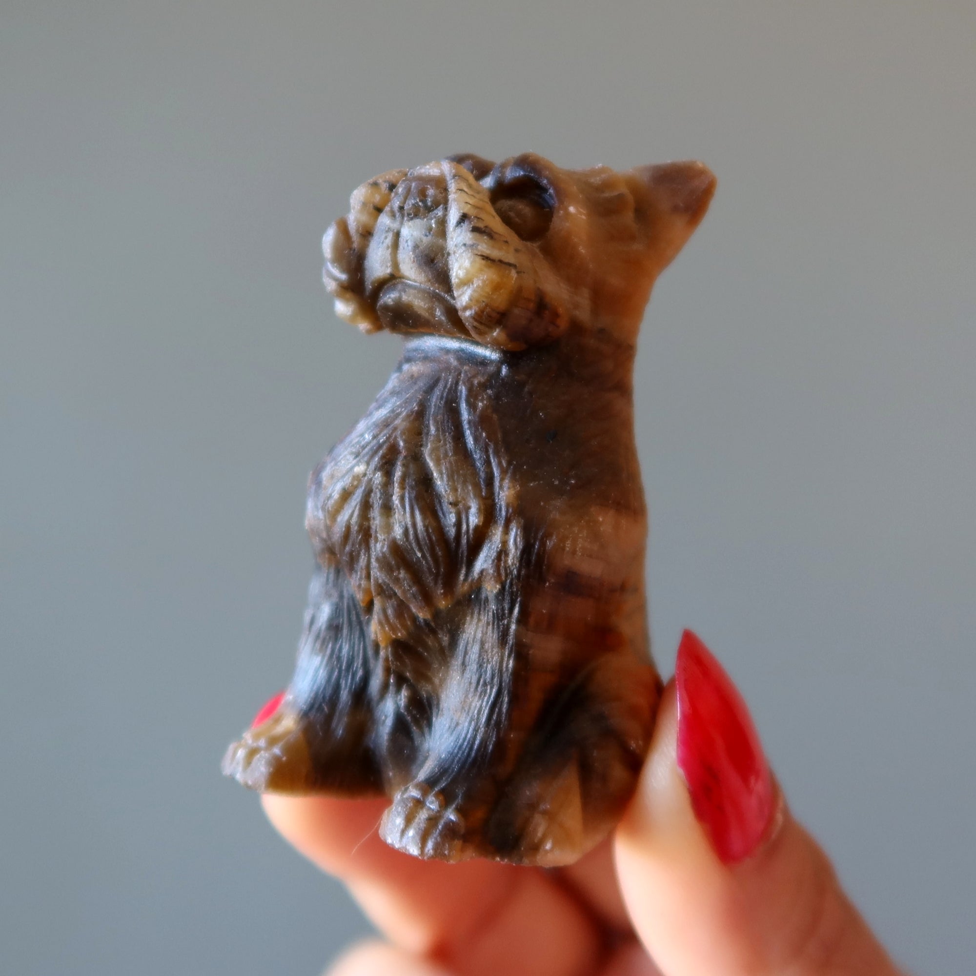 Tigers Eye Dog Scottish Terrier Timeless Golden Guardian