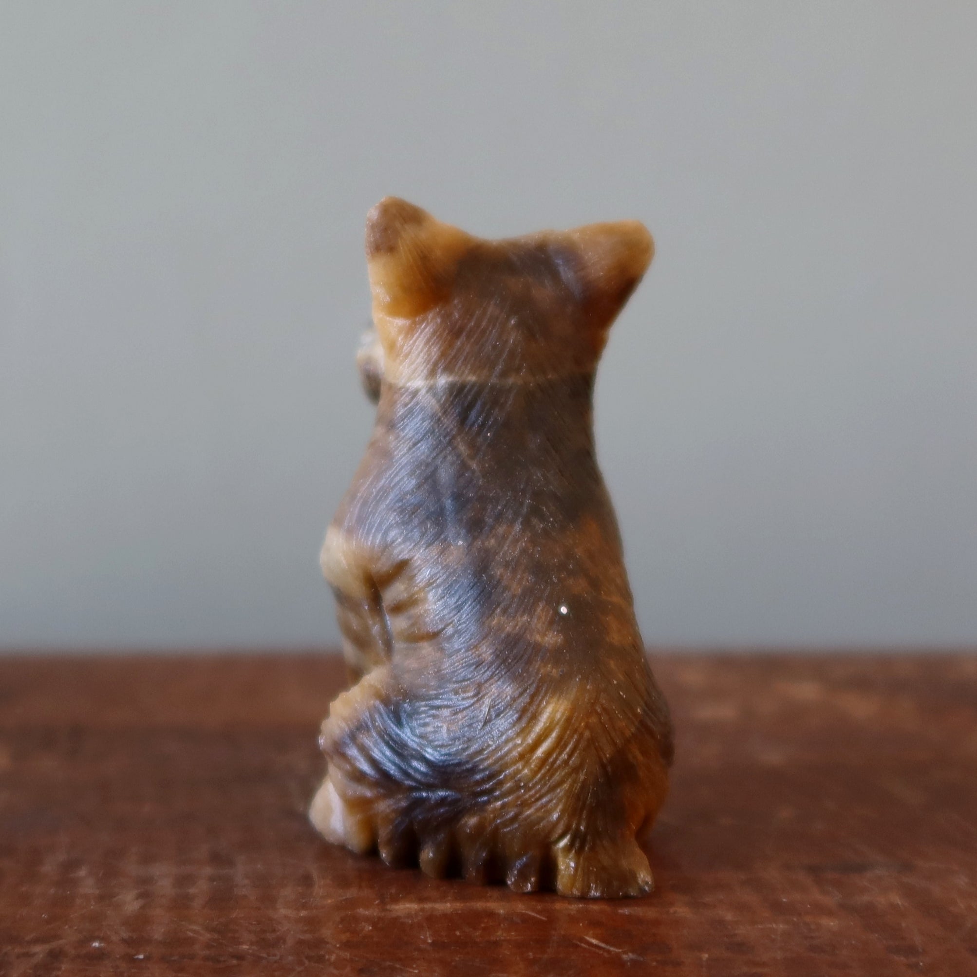 Tigers Eye Dog Scottish Terrier Timeless Golden Guardian