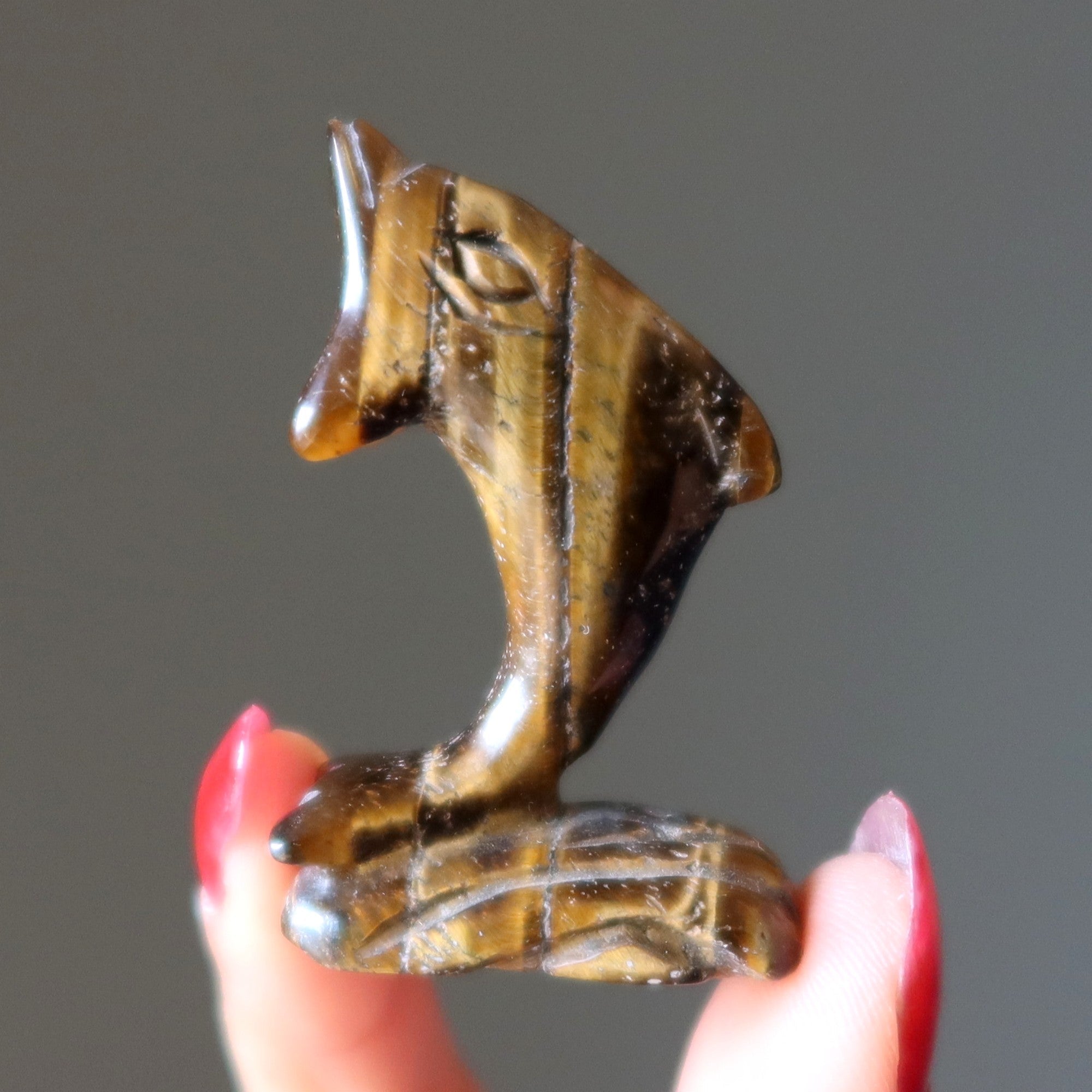 Tigers Eye Dolphin Leap Like you Mean It Stone