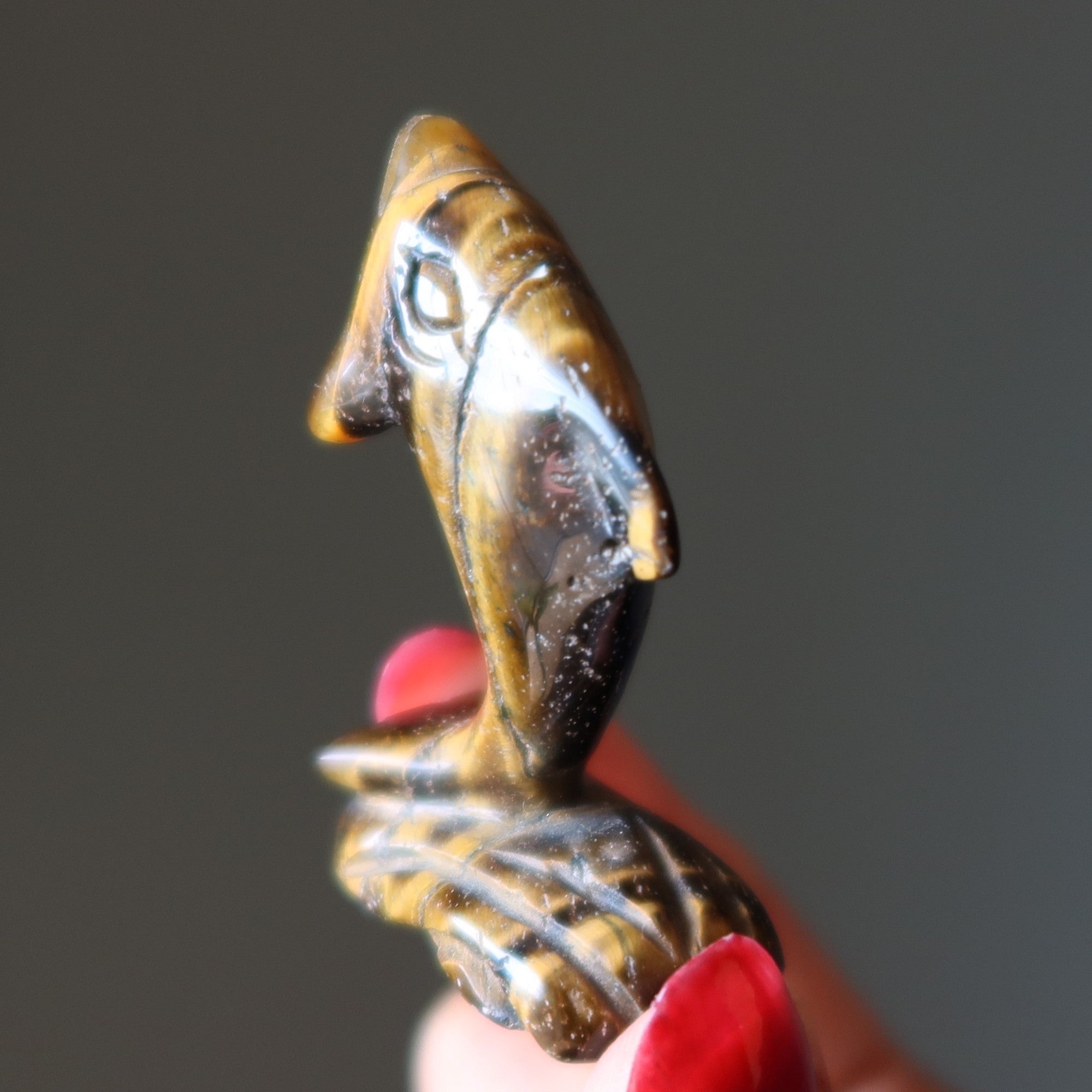 Tigers Eye Dolphin Leap Like you Mean It Stone