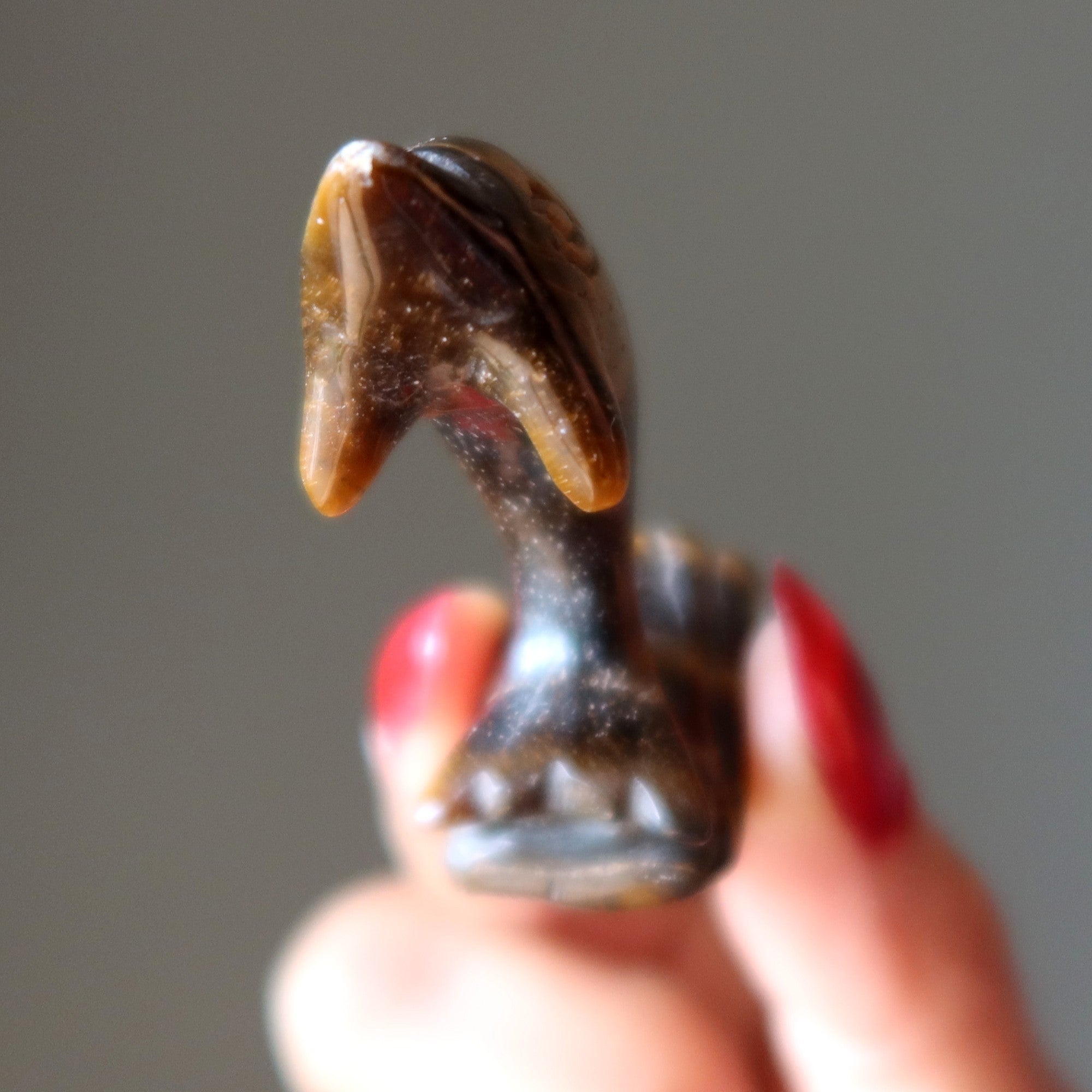 Tigers Eye Dolphin Leap Like you Mean It Stone