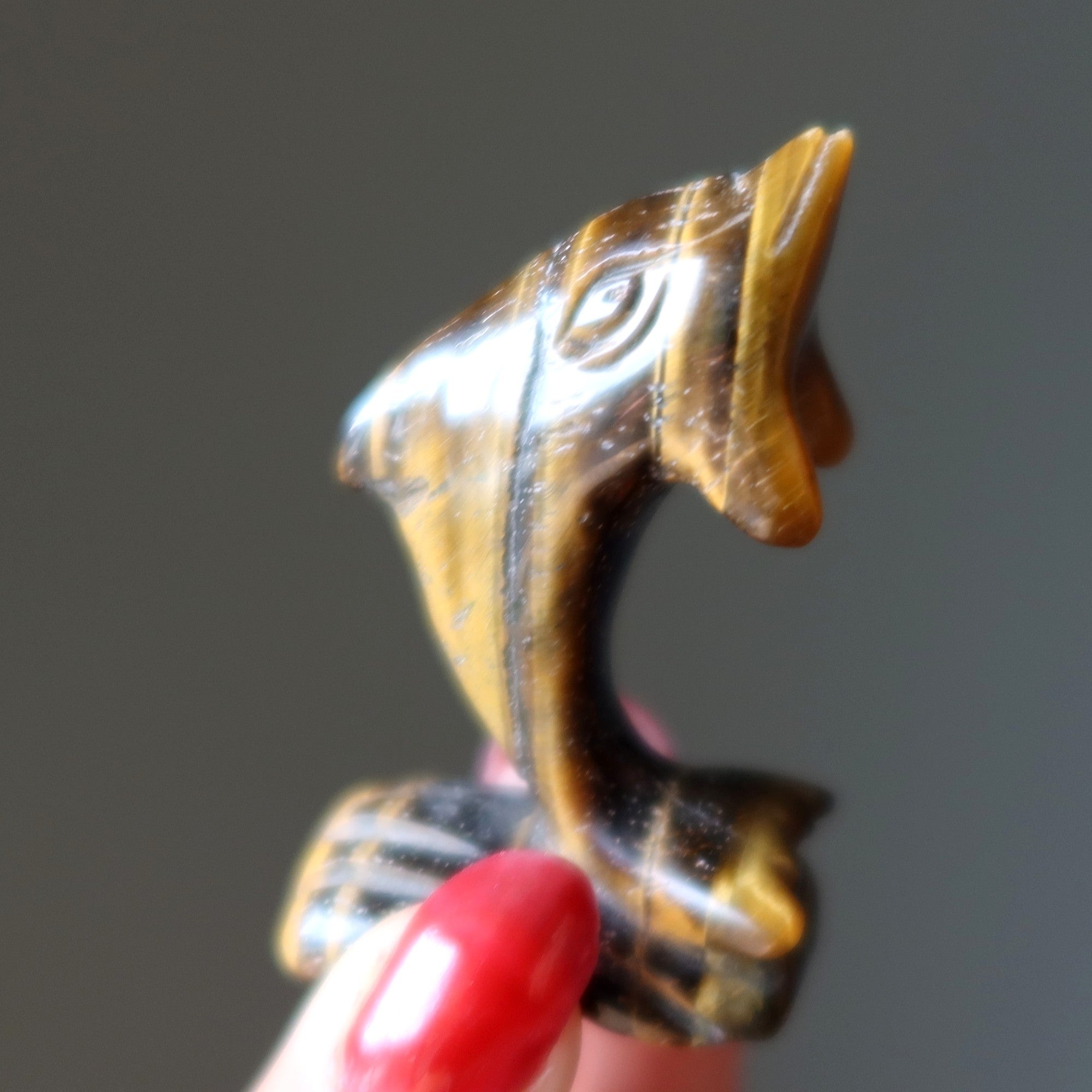 Tigers Eye Dolphin Leap Like you Mean It Stone