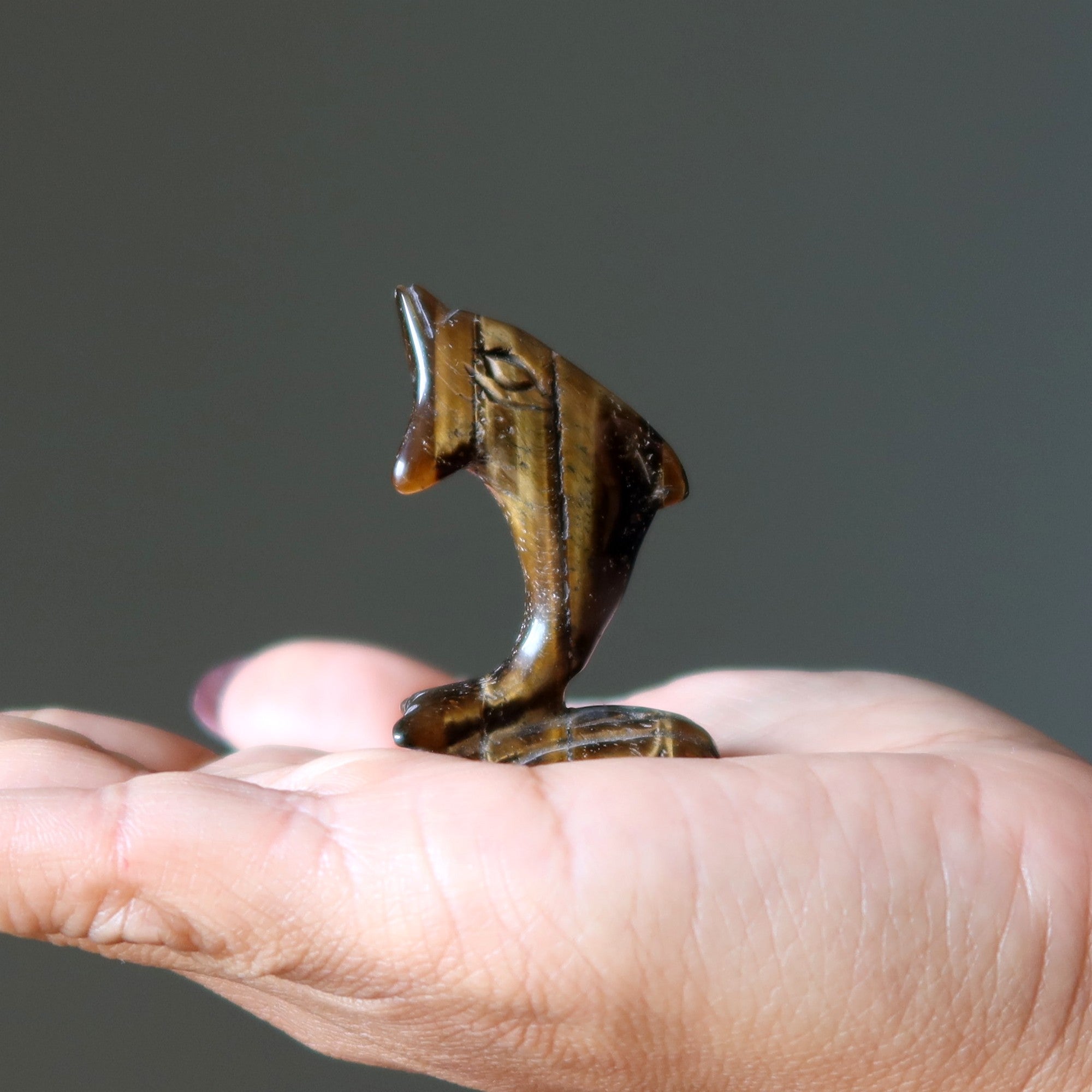 Tigers Eye Dolphin Leap Like you Mean It Stone