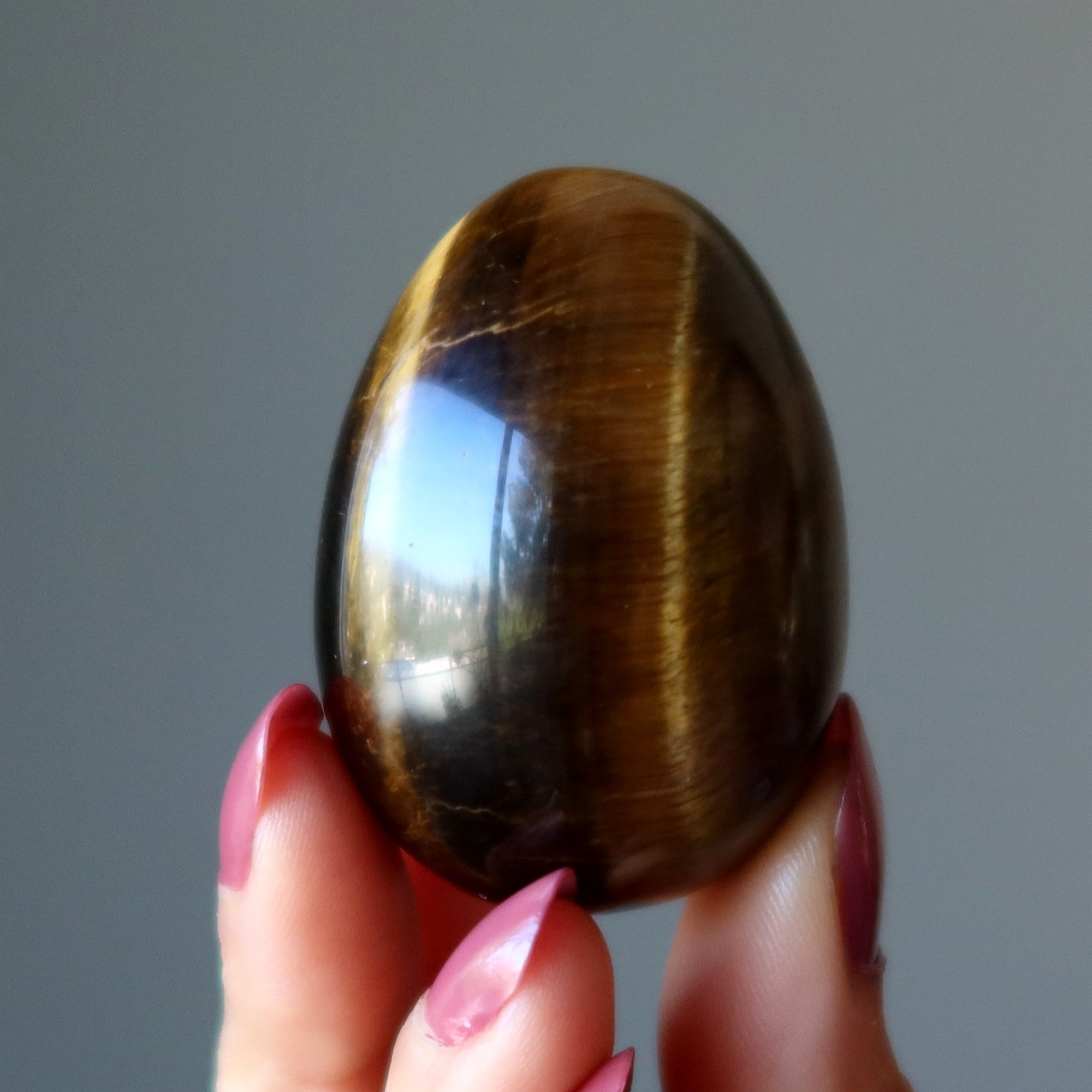 Tigers Eye Egg Nature's Muddy Miracle Confidence Crystal