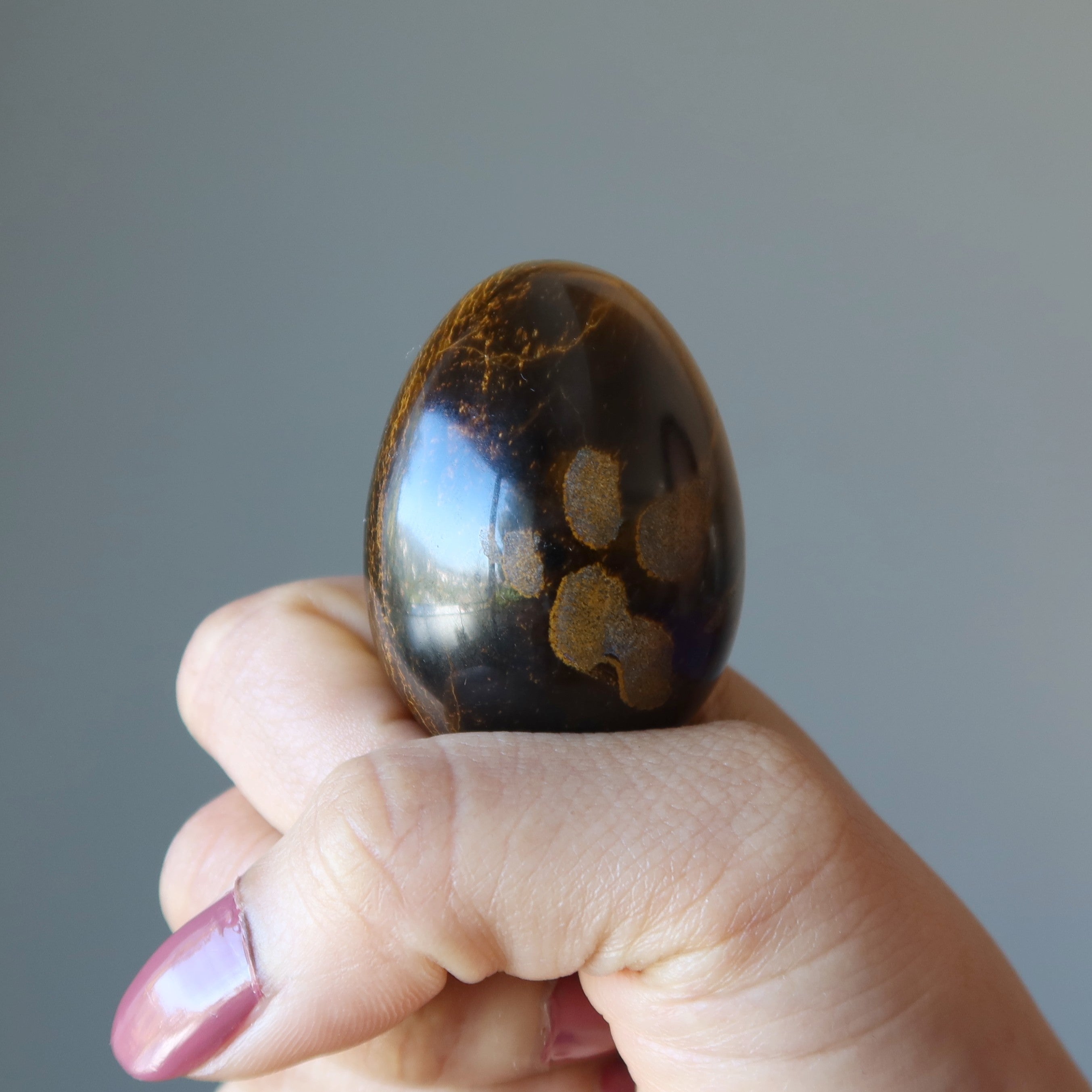 Tigers Eye Egg Nature's Muddy Miracle Confidence Crystal