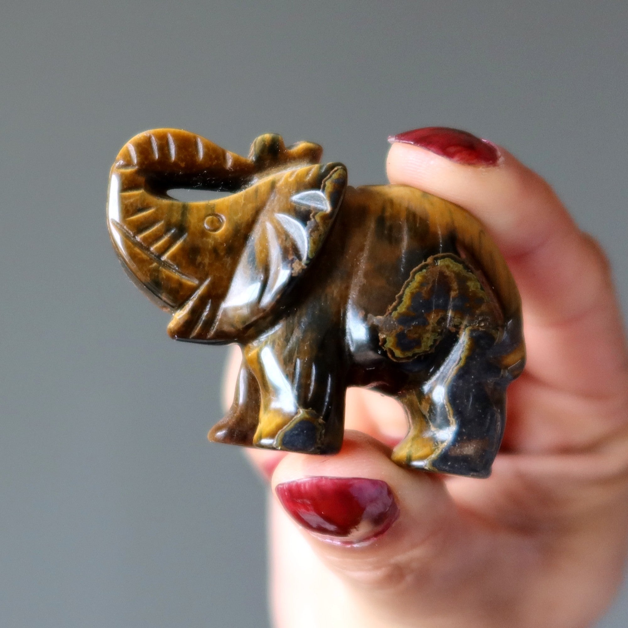 Tigerauge Elefant bringt Glück und Erfolg Stein