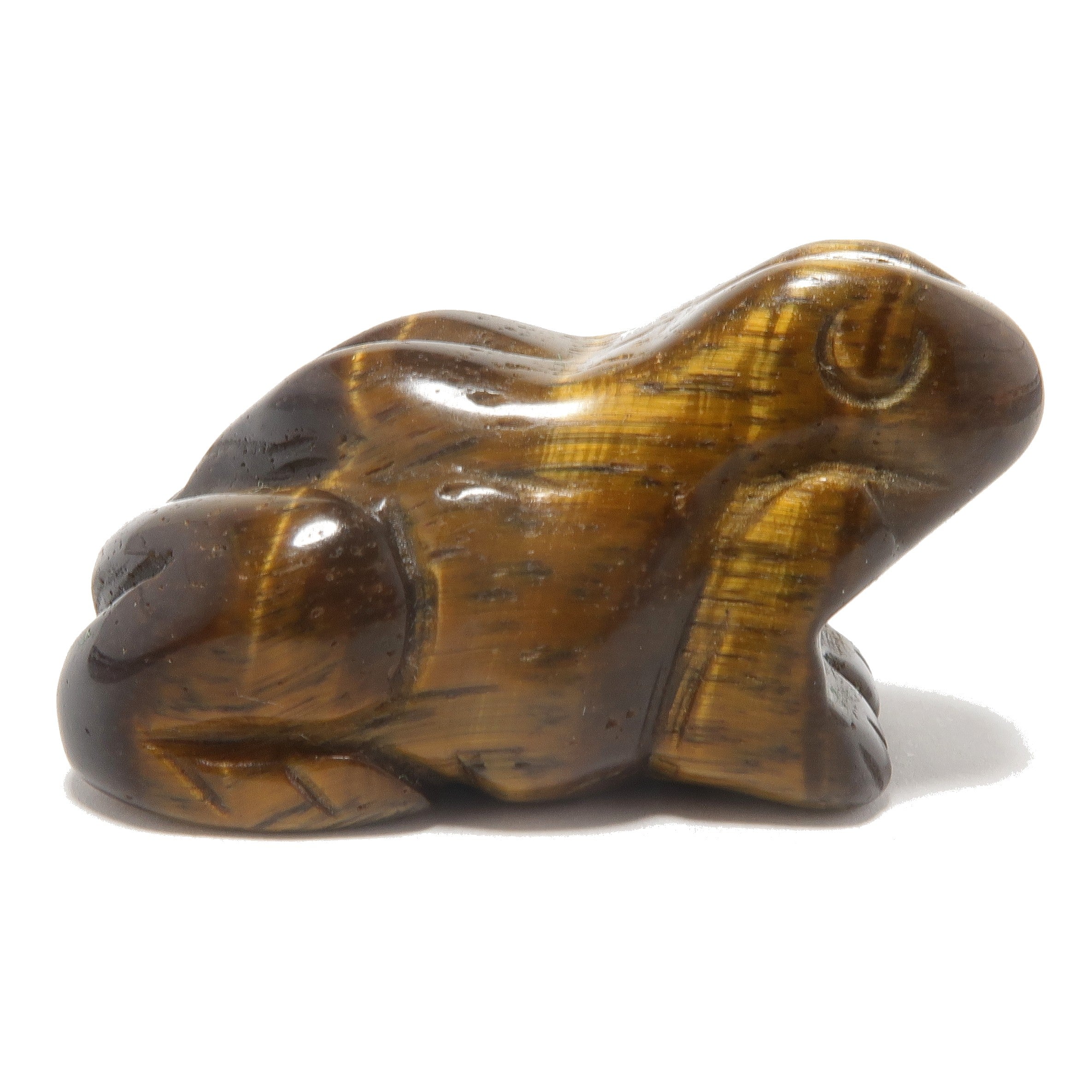 Figurine Grenouille œil de tigre : du rebond à l'éclat