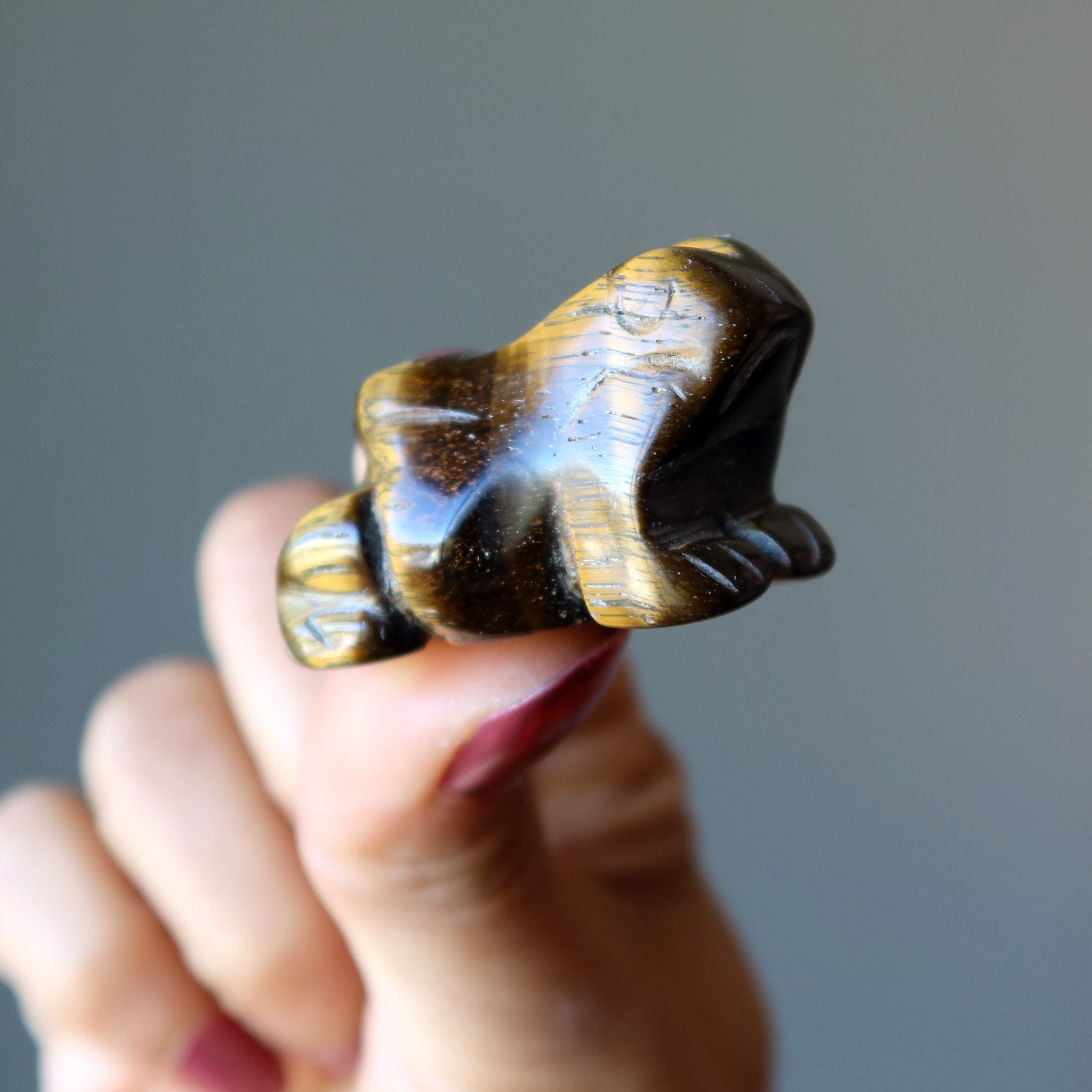 Figurine Grenouille œil de tigre : du rebond à l'éclat