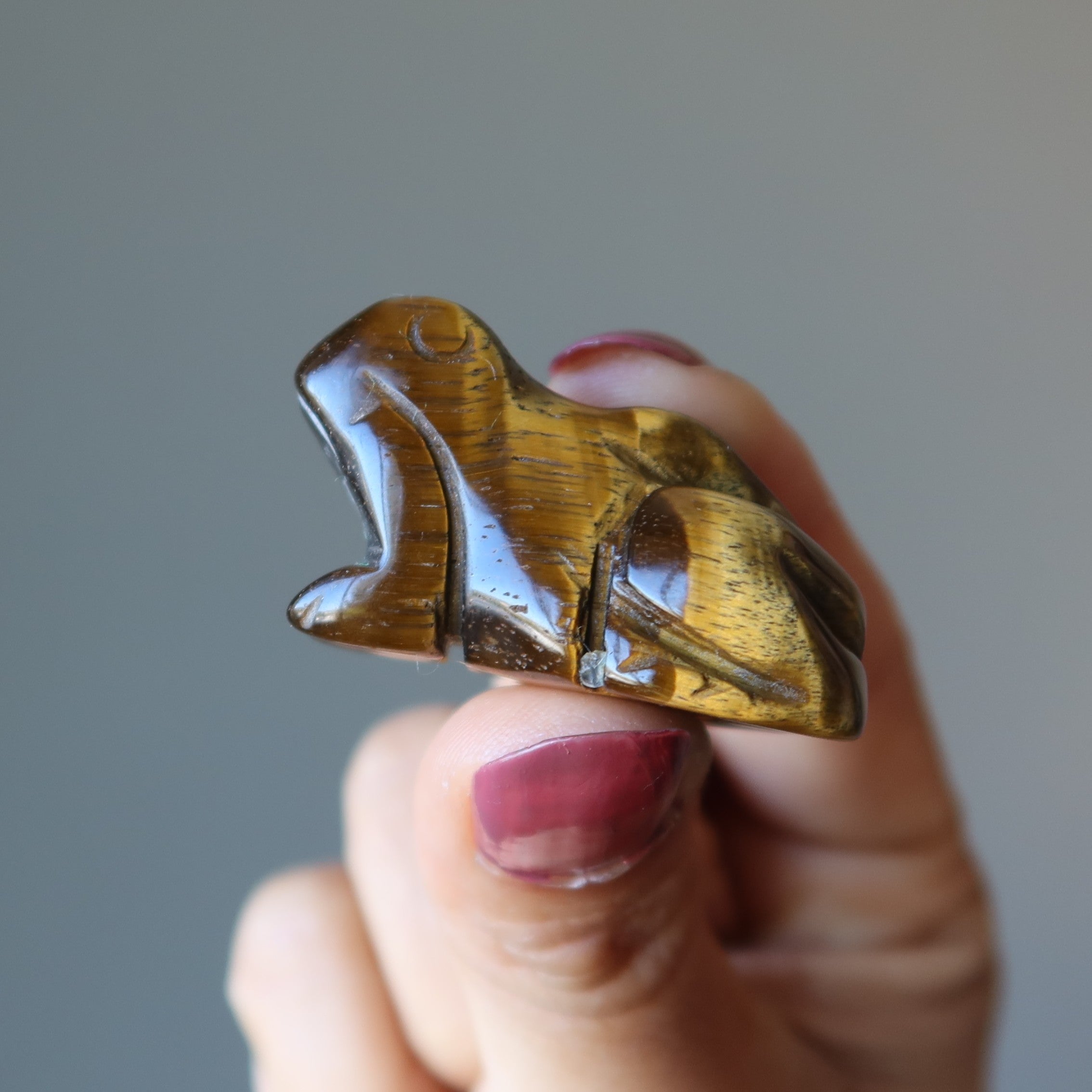 Figurine Grenouille œil de tigre : du rebond à l'éclat