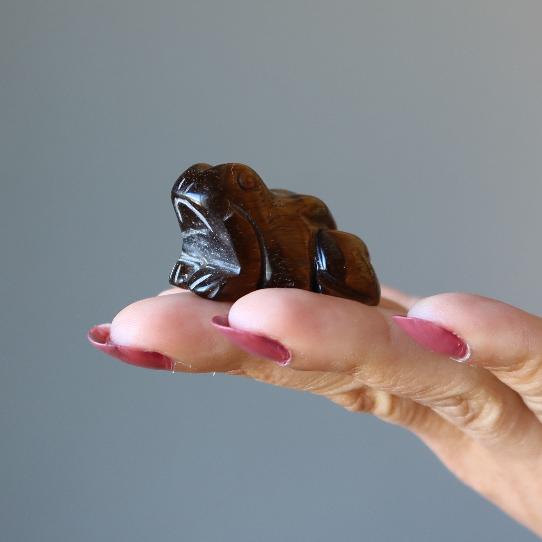 Figurine Grenouille œil de tigre : du rebond à l'éclat