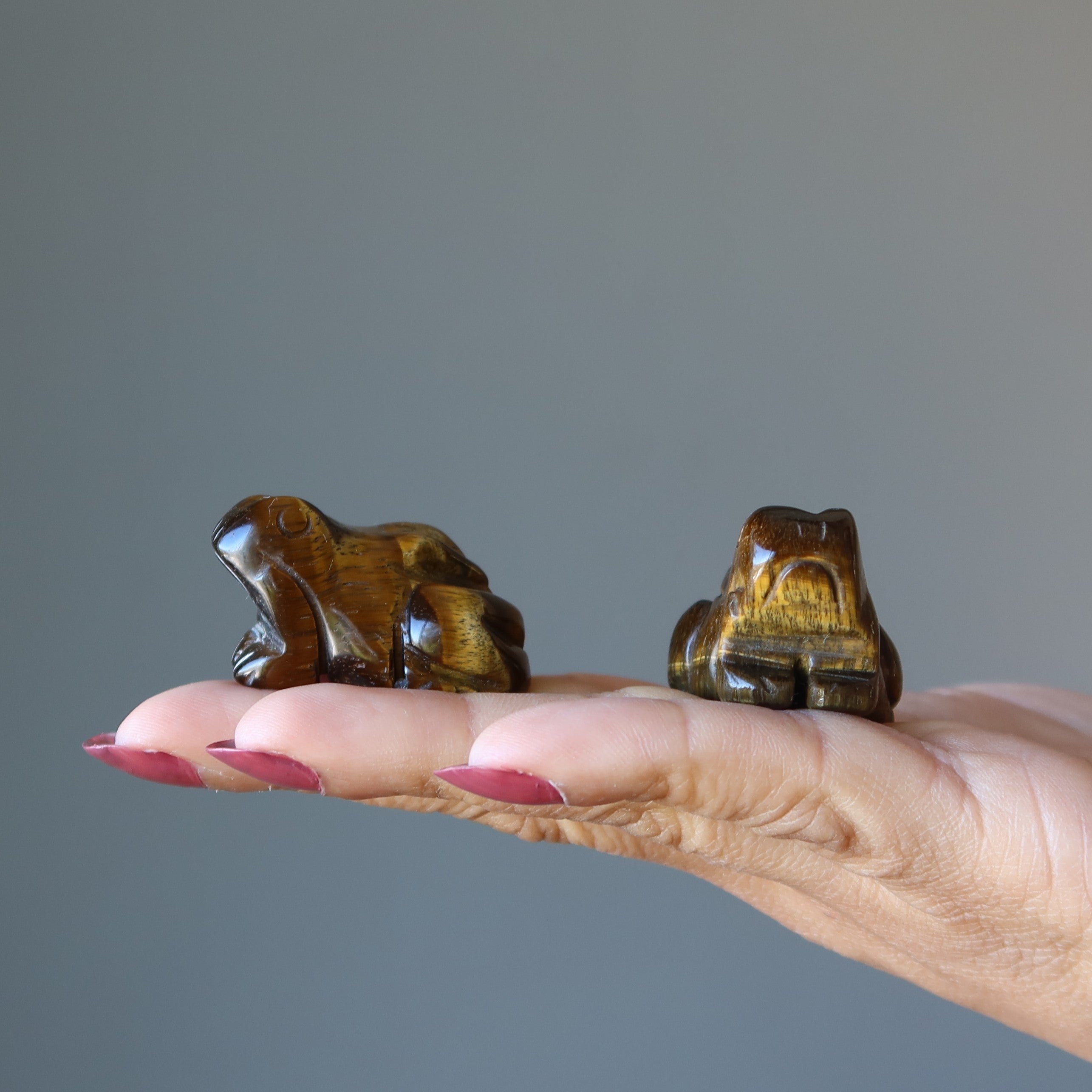 Figurine Grenouille œil de tigre : du rebond à l'éclat