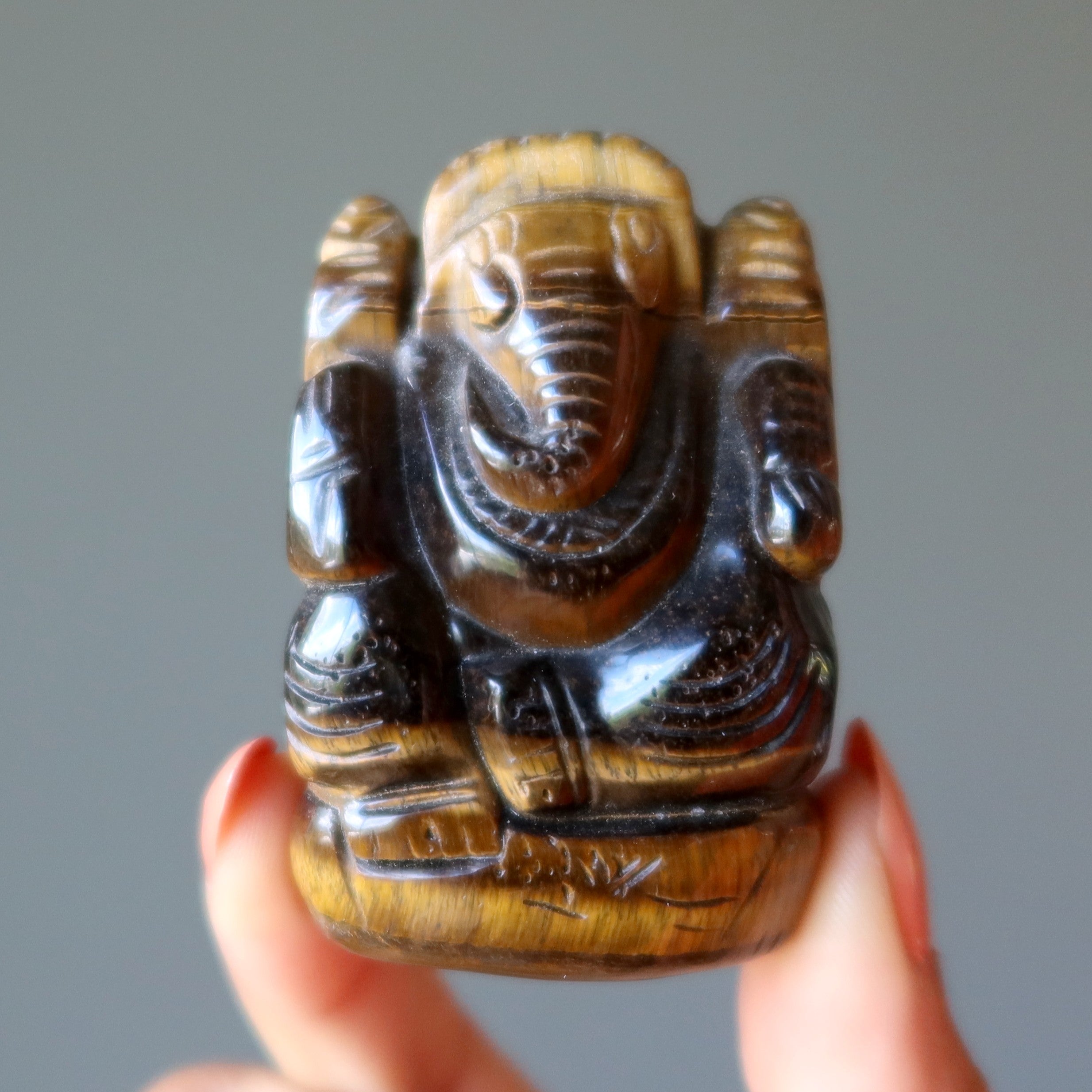 Tigers Eye Ganesh Hindu Elephant Business Success