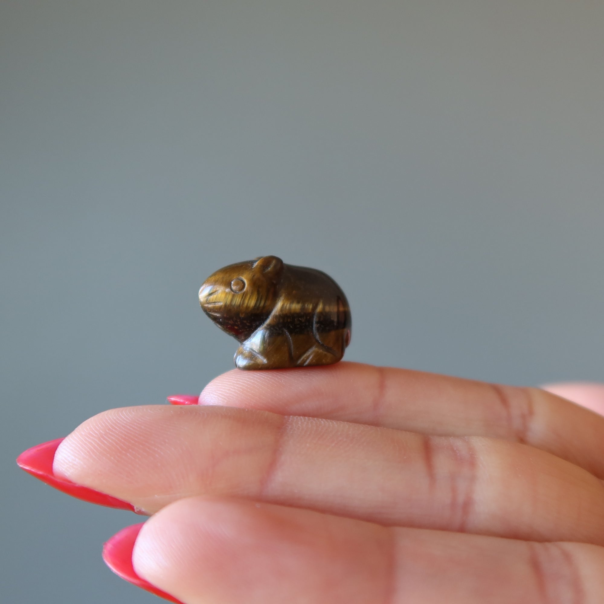 Souris miniature Œil de Tigre Rat doré Animal du Zodiaque