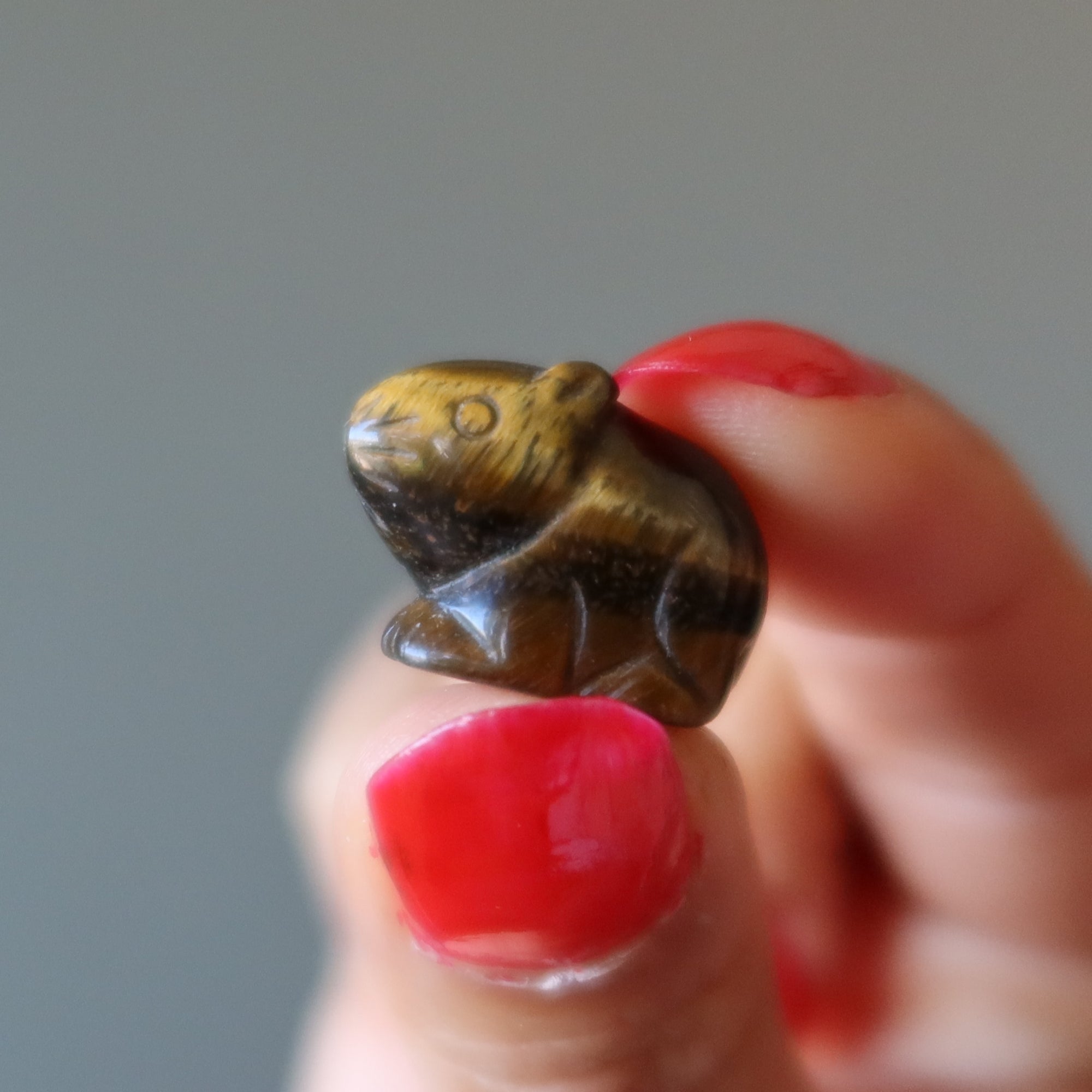 Souris miniature Œil de Tigre Rat doré Animal du Zodiaque