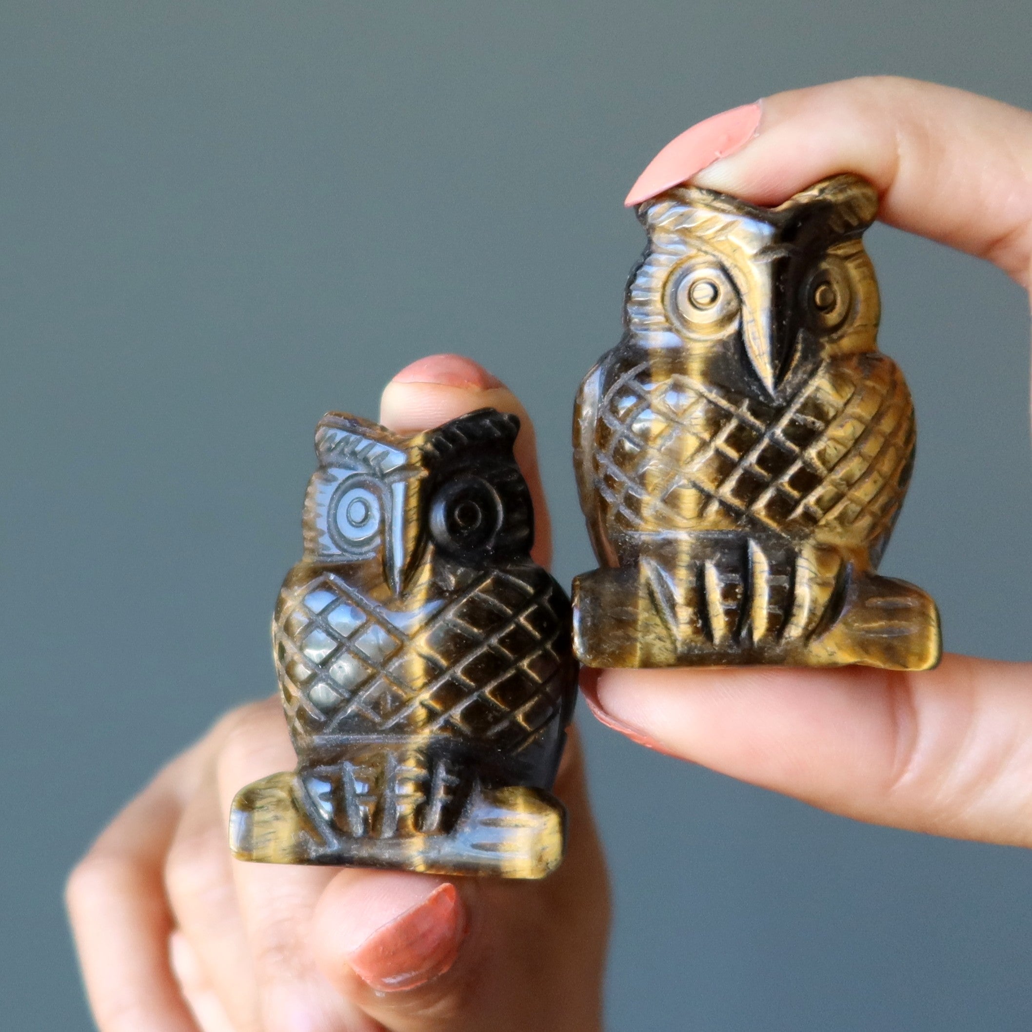 Œil de tigre Hibou Prêt, partez Pierre visionnaire