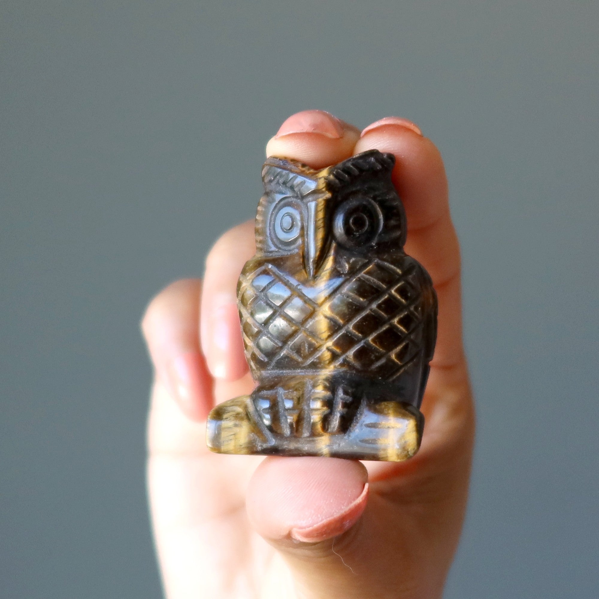 Tigers Eye Owl Ruffled Feathers Wounded Warrior