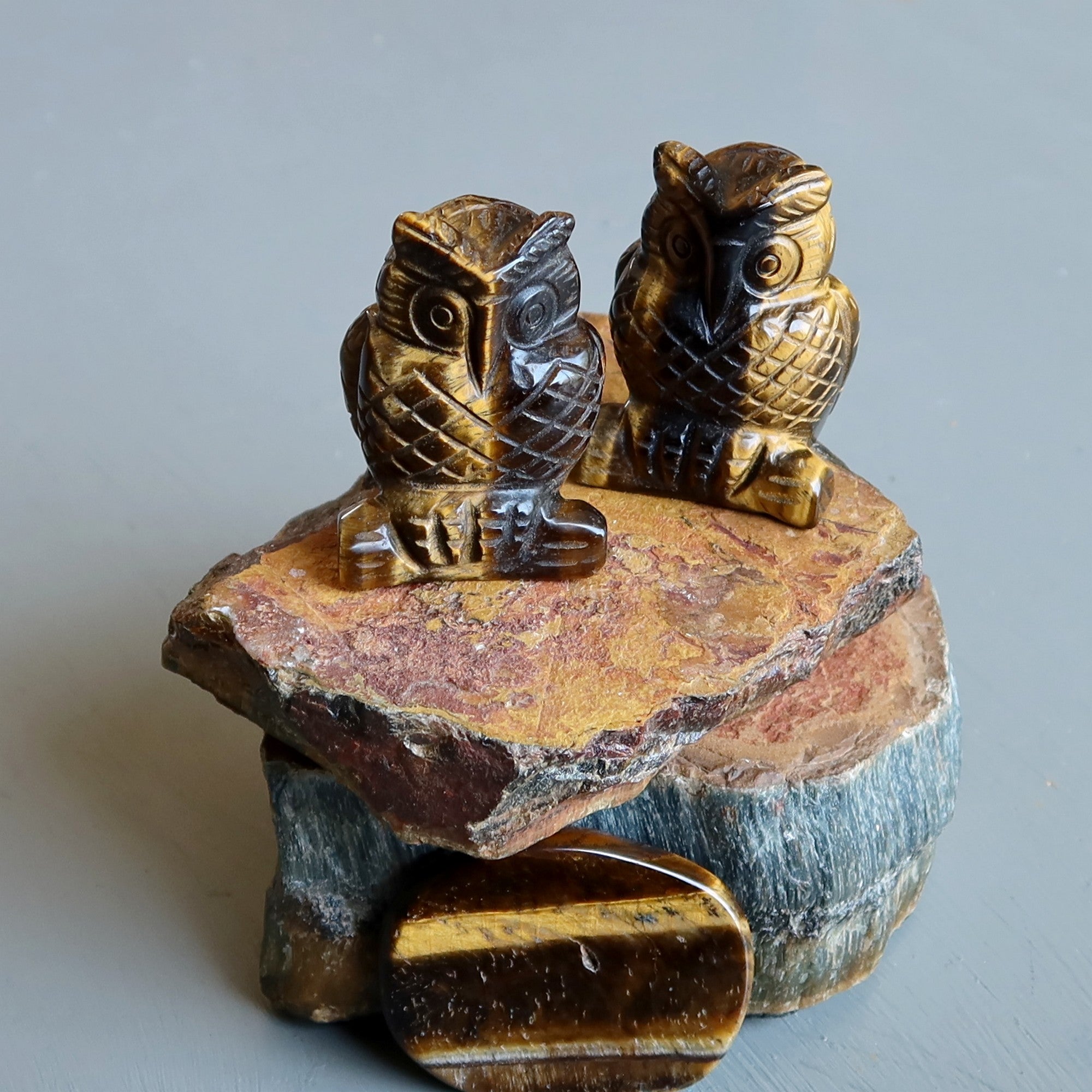 Œil de tigre Hibou Prêt, partez Pierre visionnaire