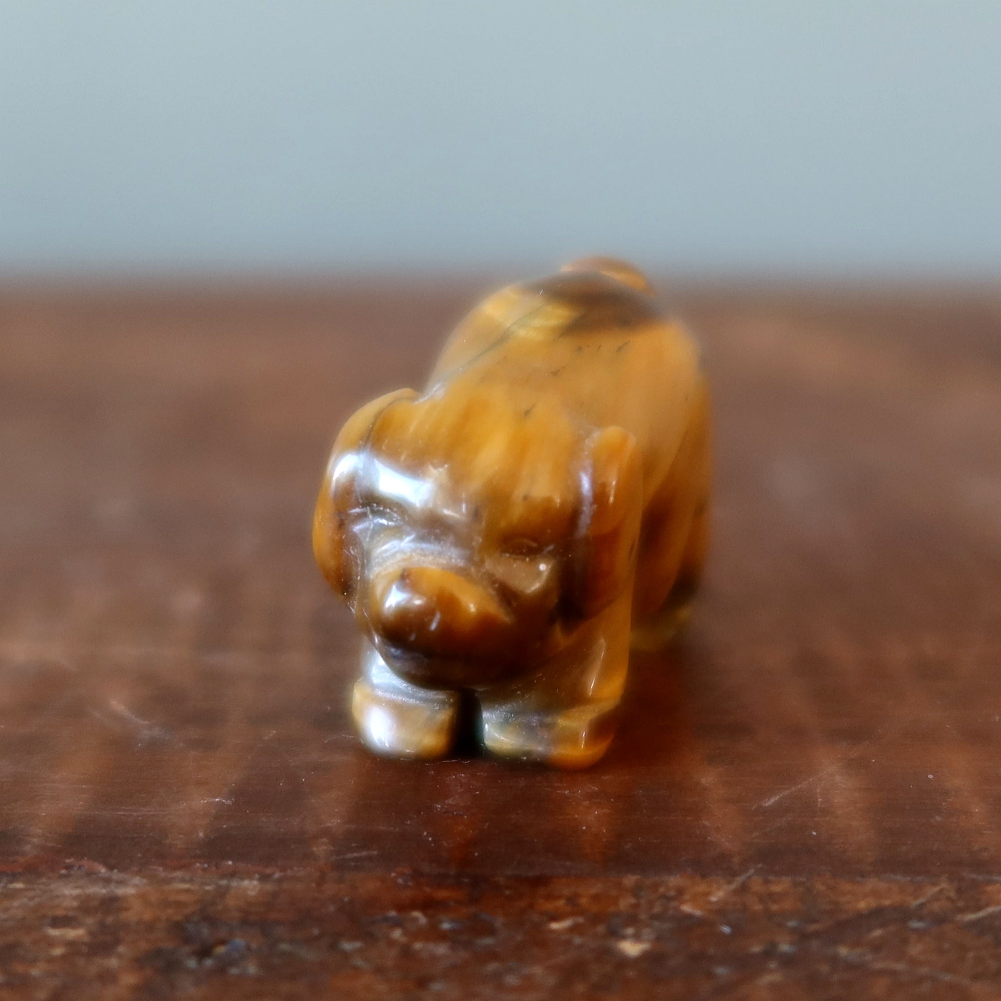 Figurine animalière tigre en œil de cochon en laiton doré