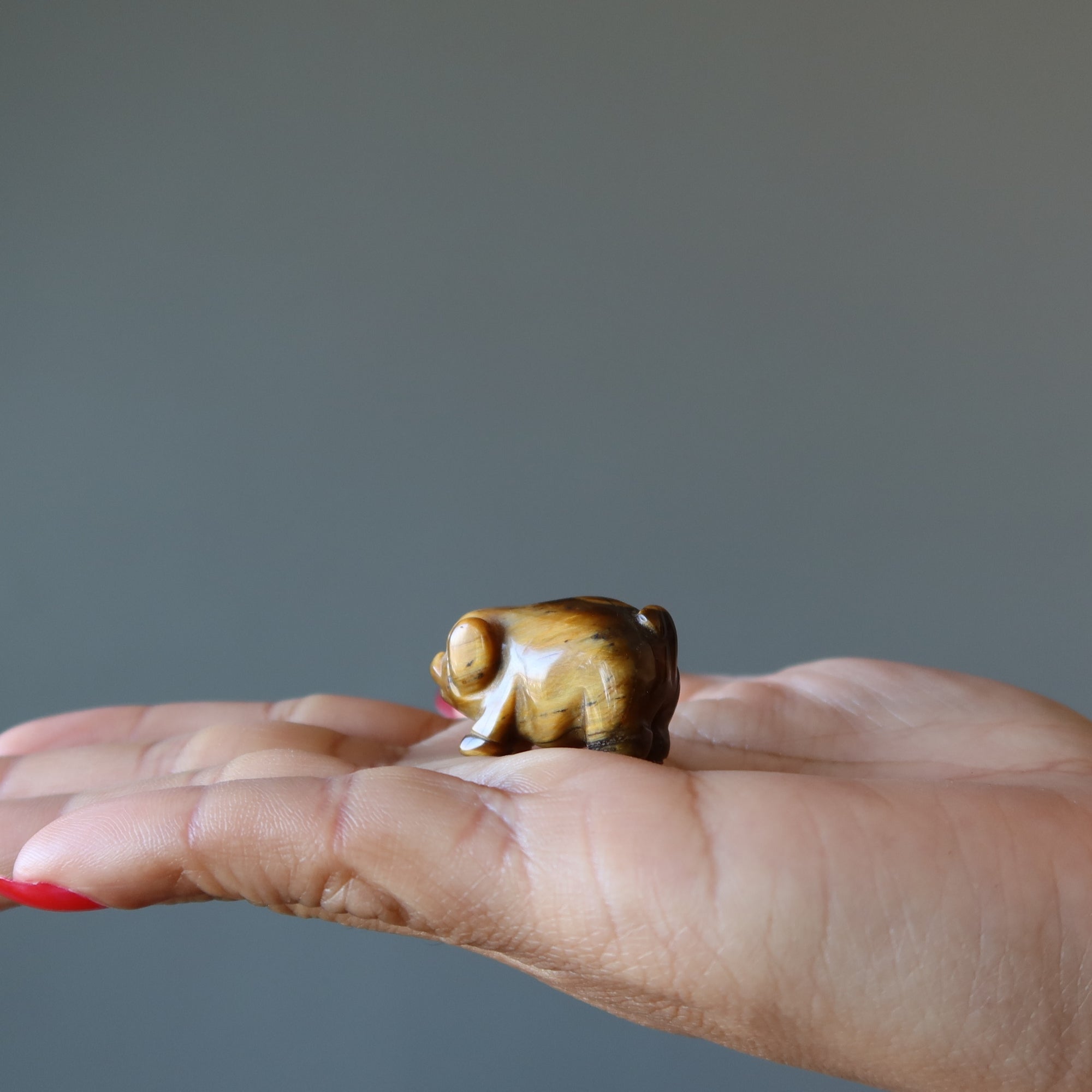 Figurine animalière tigre en œil de cochon en laiton doré