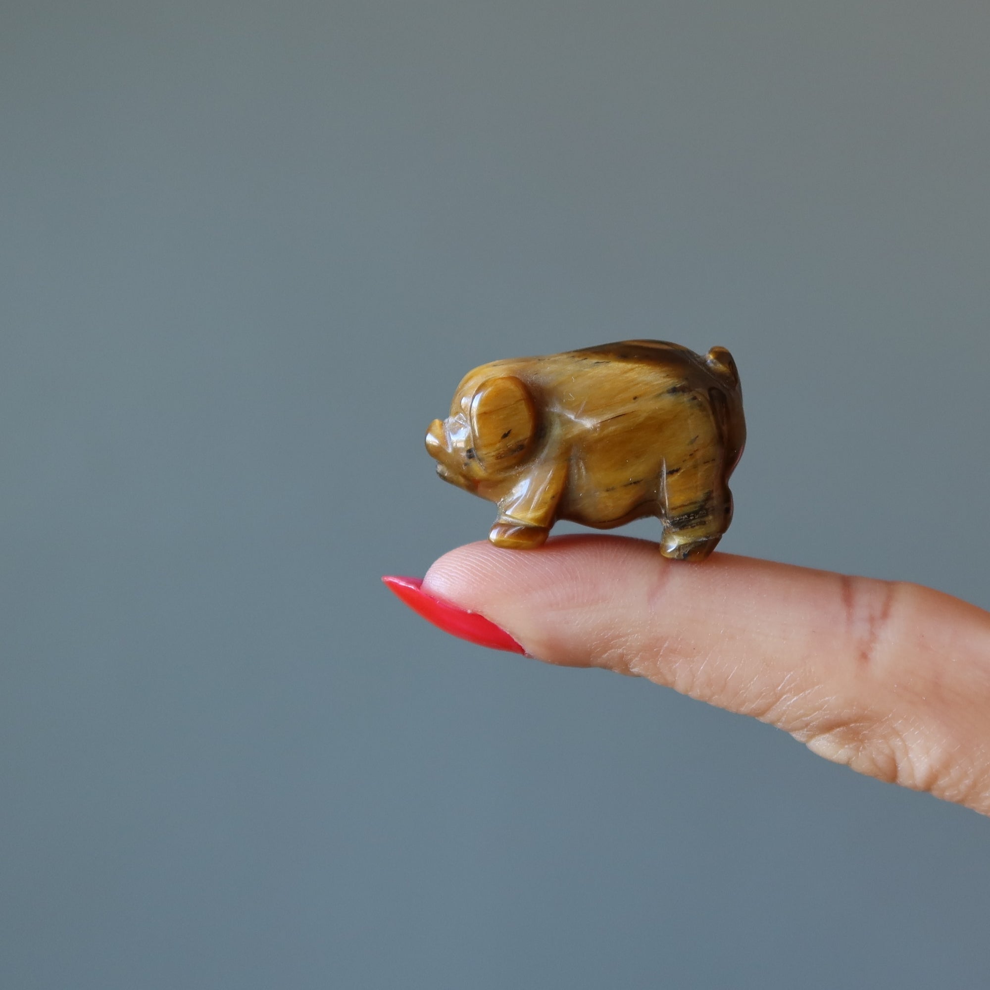 Figurine animalière tigre en œil de cochon en laiton doré