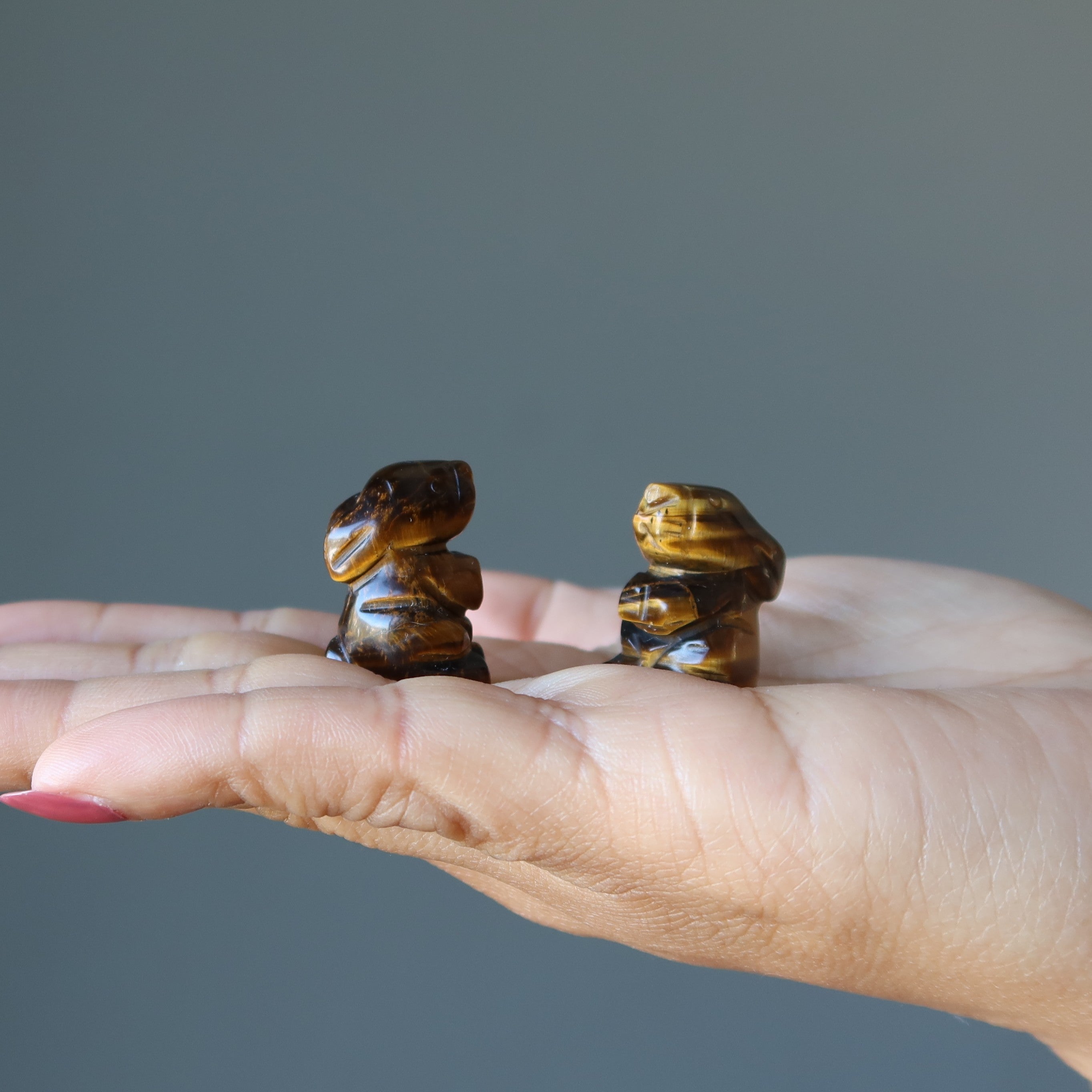 Tigers Eye Rabbit 1" Miniature Pair Animal Hop to Greatness