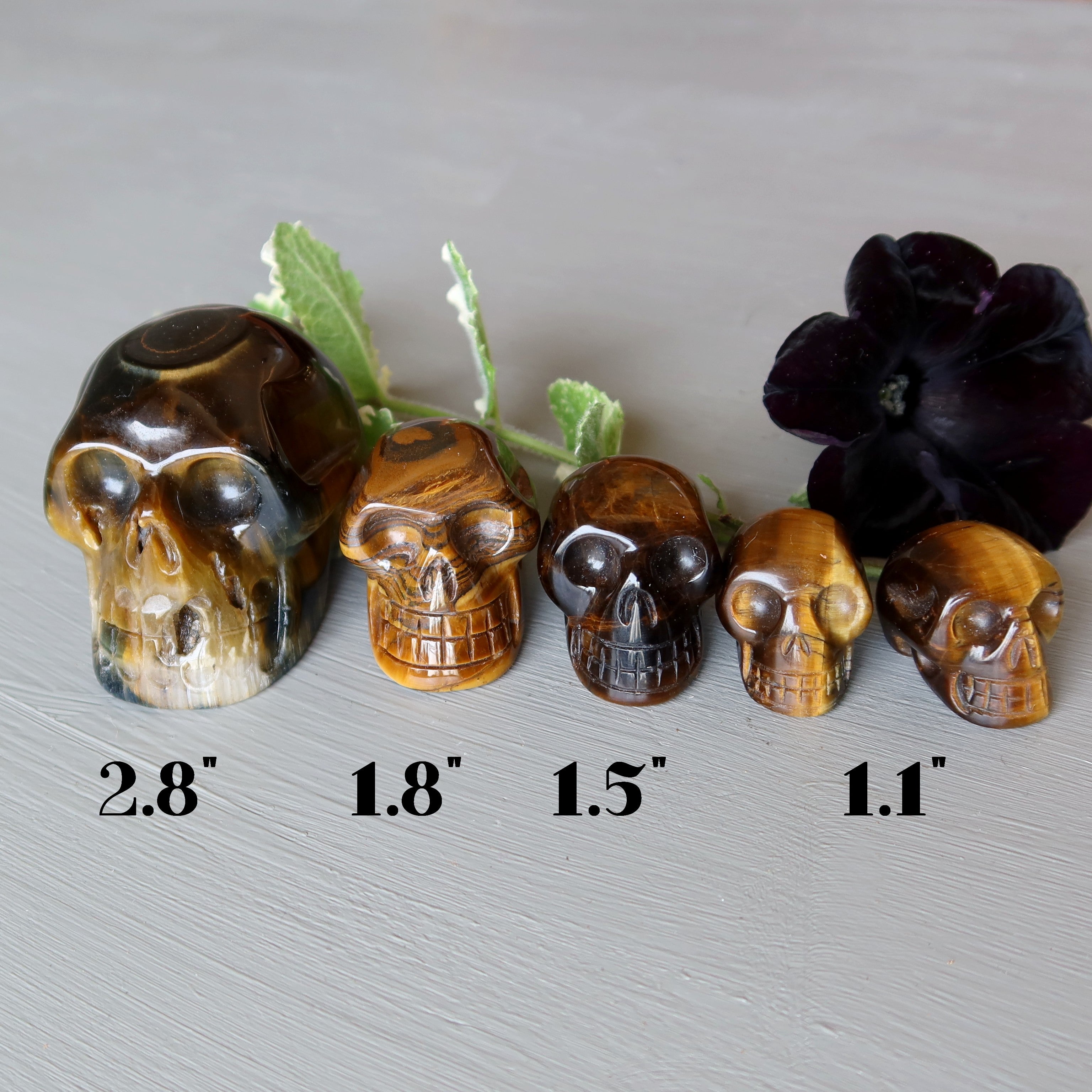 Tigers Eye Skull Secrets of Other World Crystal