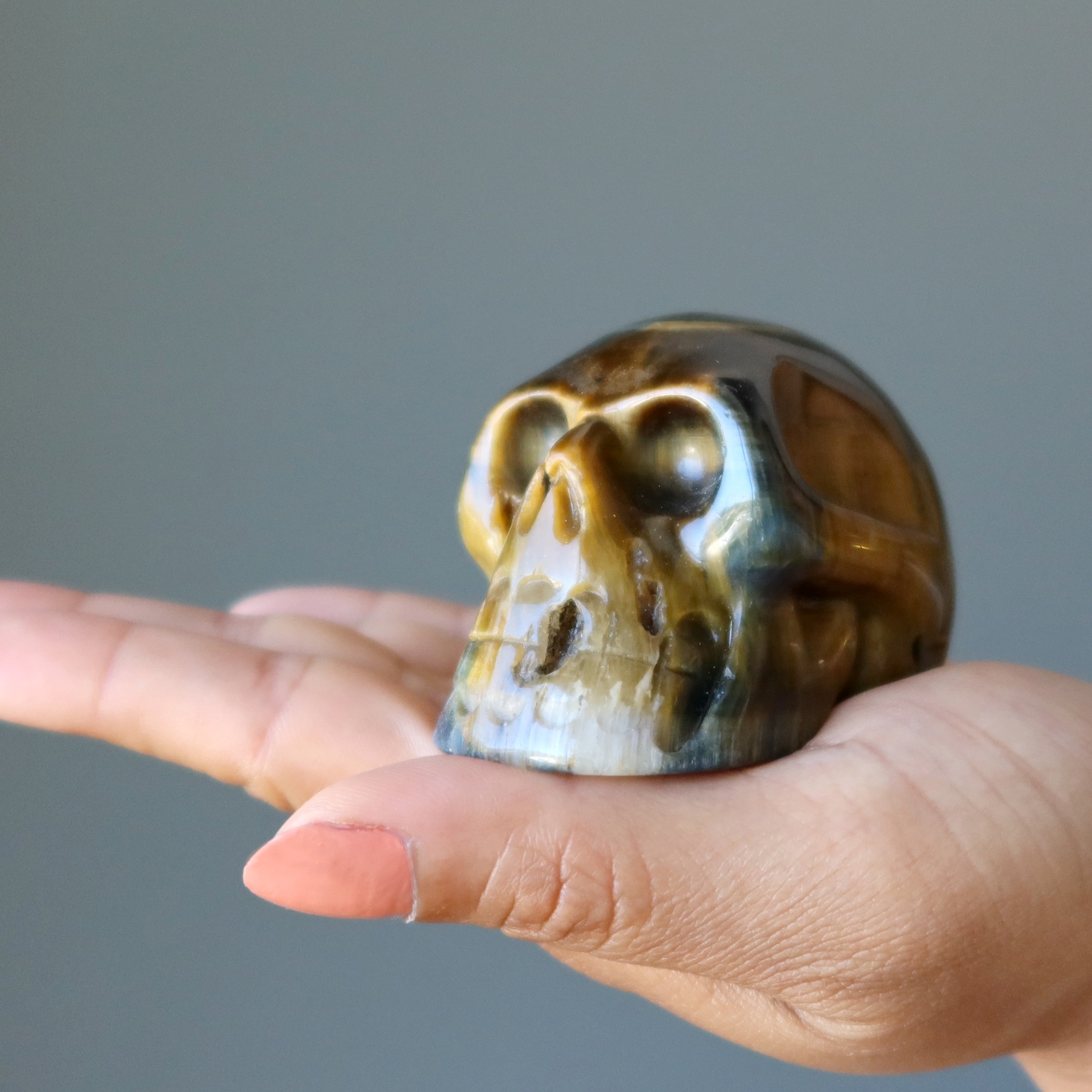 Tigers Eye Skull Secrets of Other World Crystal