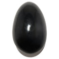 Black Tourmaline Egg New Perspectives Protection Crystal