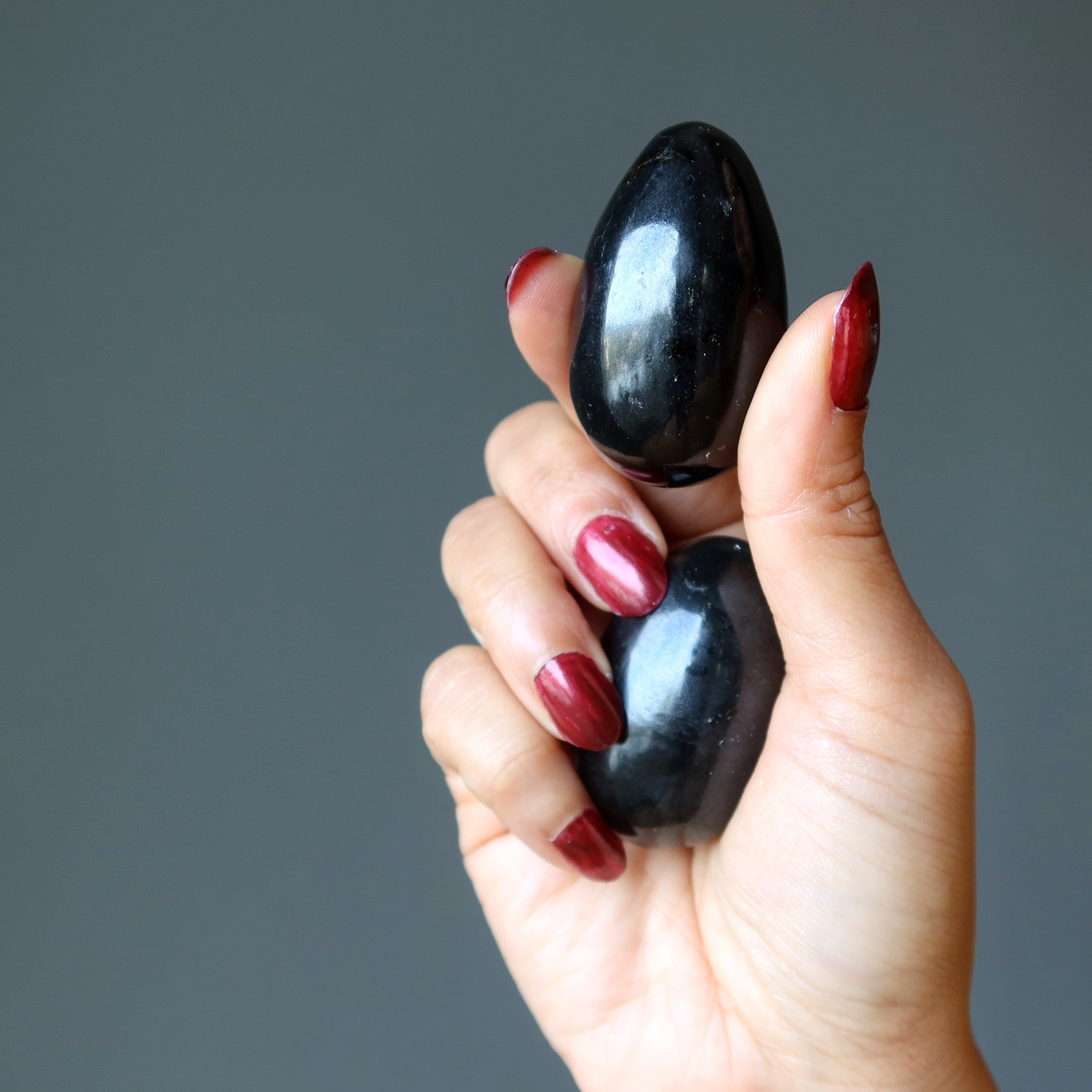 Black Tourmaline Egg New Perspectives Protection Crystal